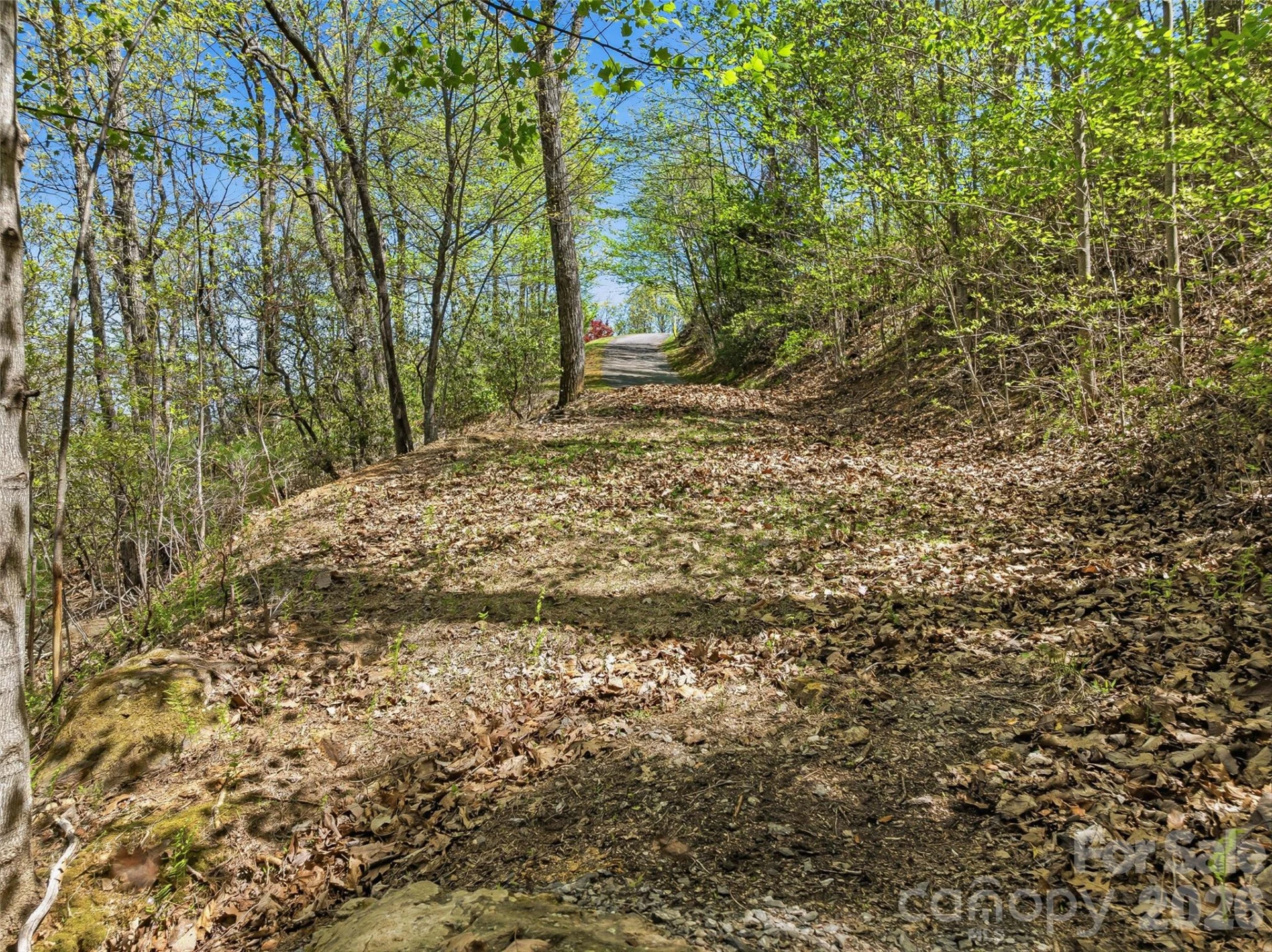 27 Deer Grass Court - Photo 12