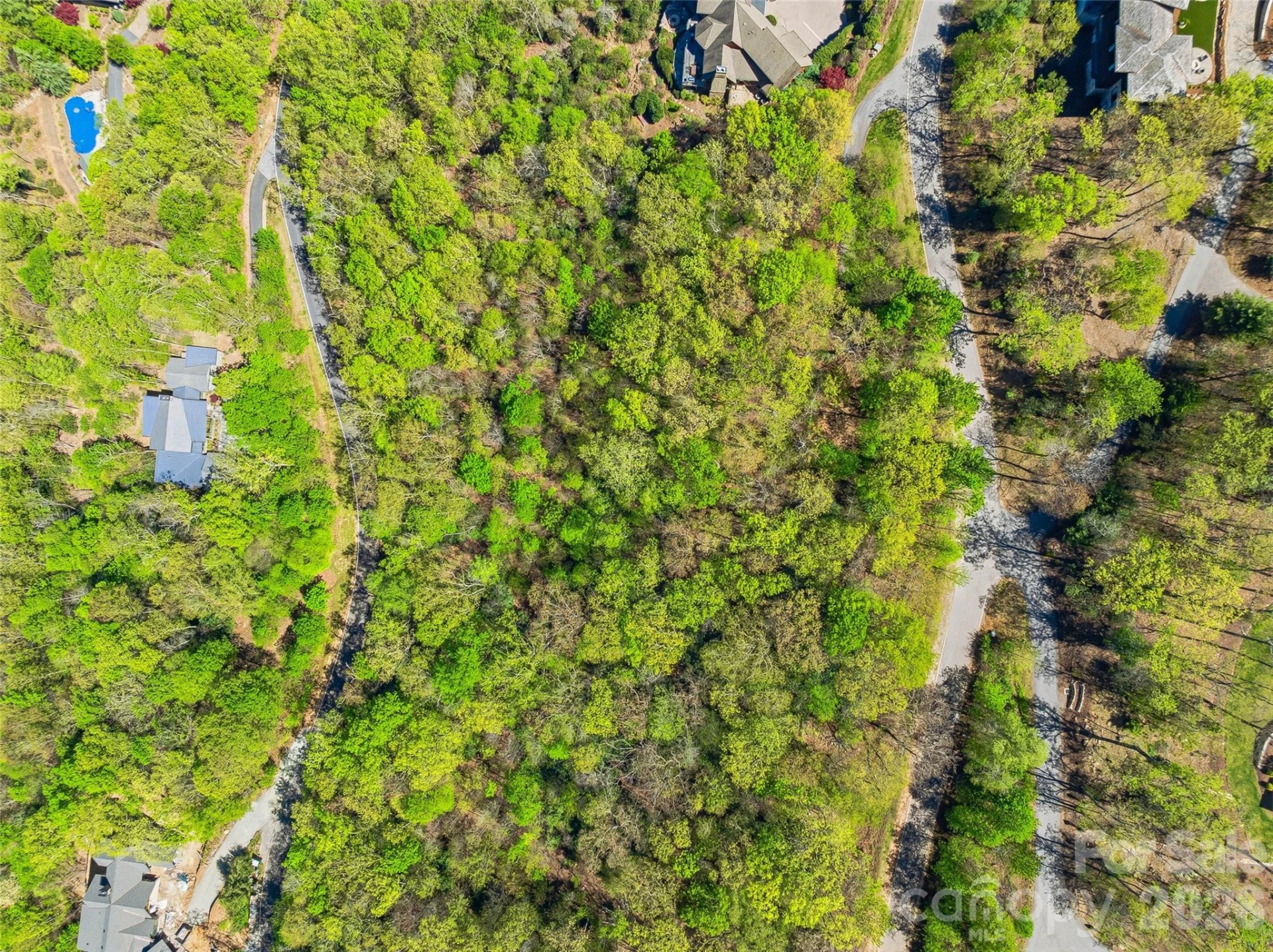 27 Deer Grass Court - Photo 14