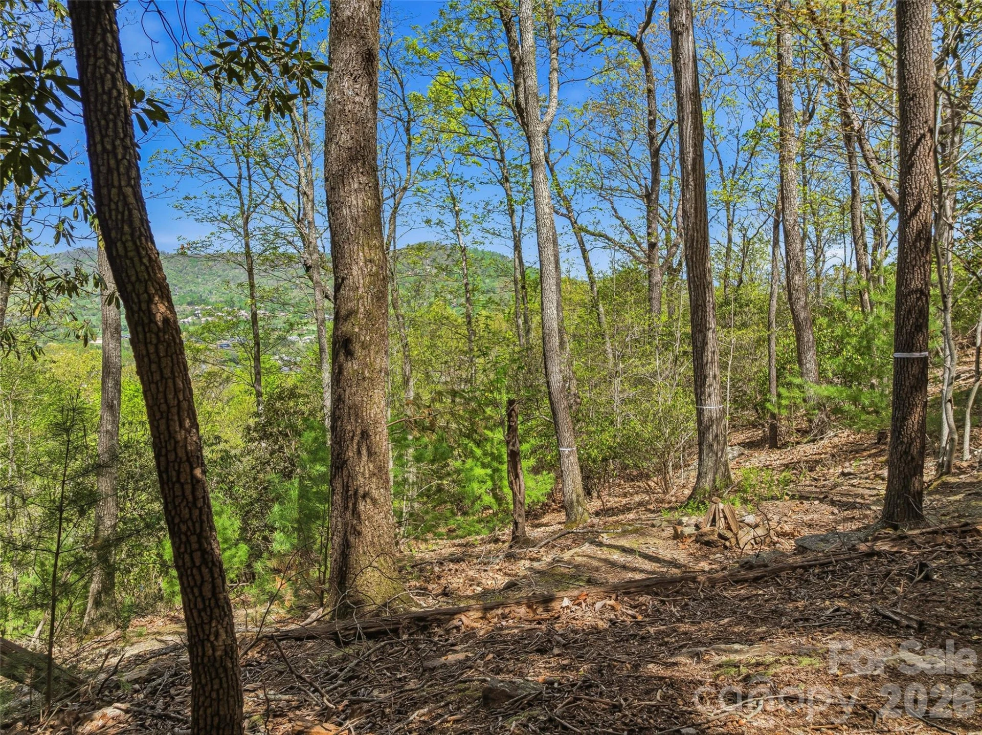 27 Deer Grass Court - Photo 17