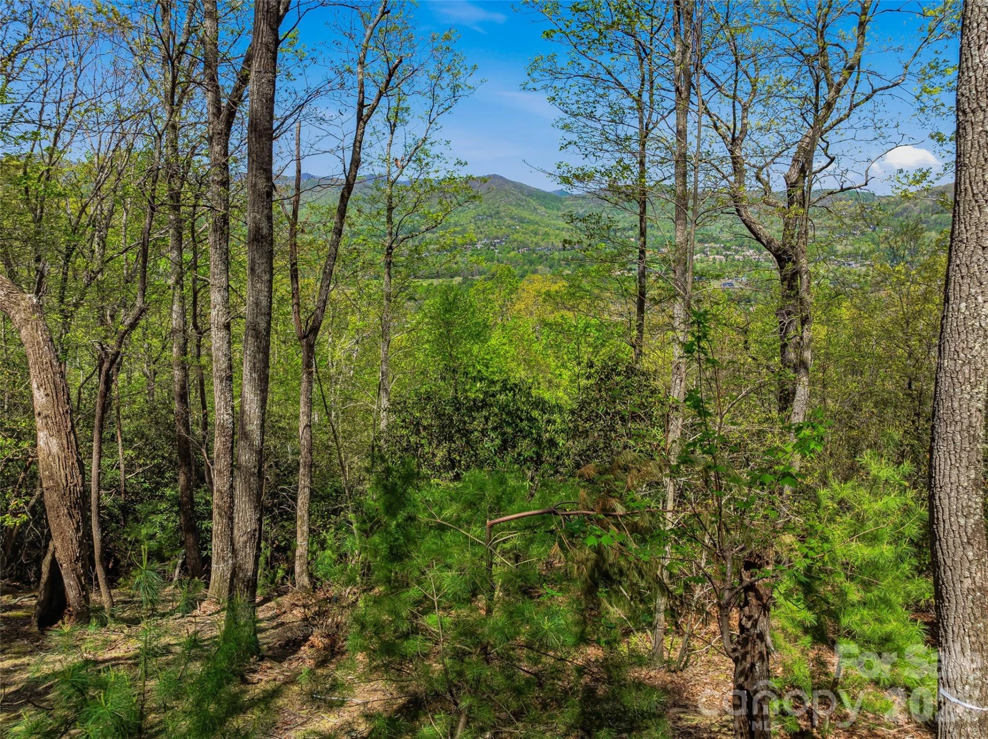 27 Deer Grass Court - Photo 19