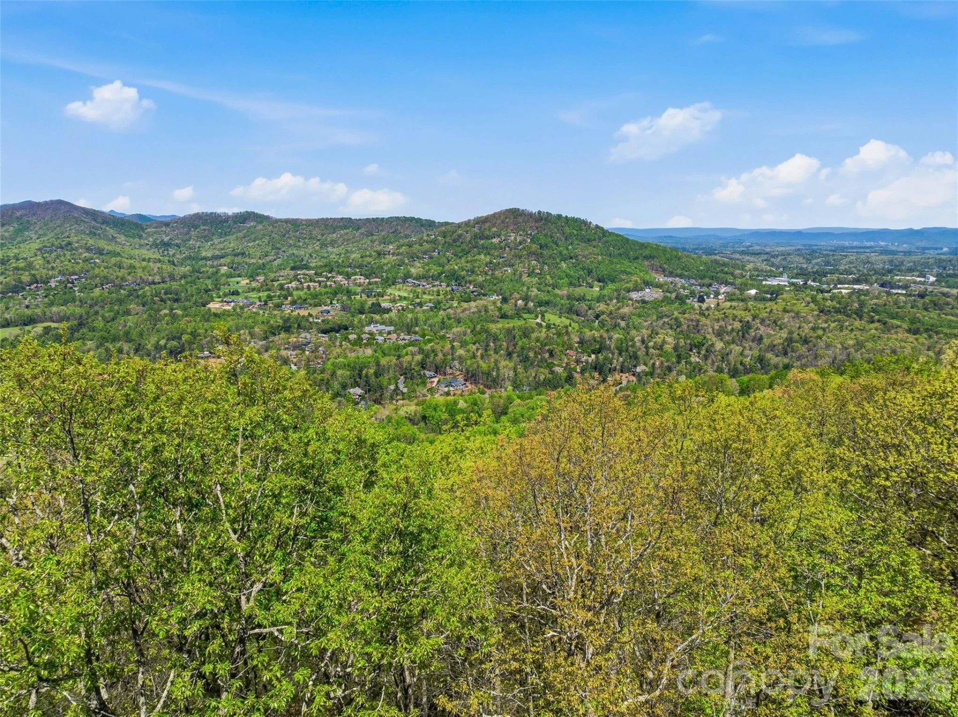 27 Deer Grass Court - Photo 22