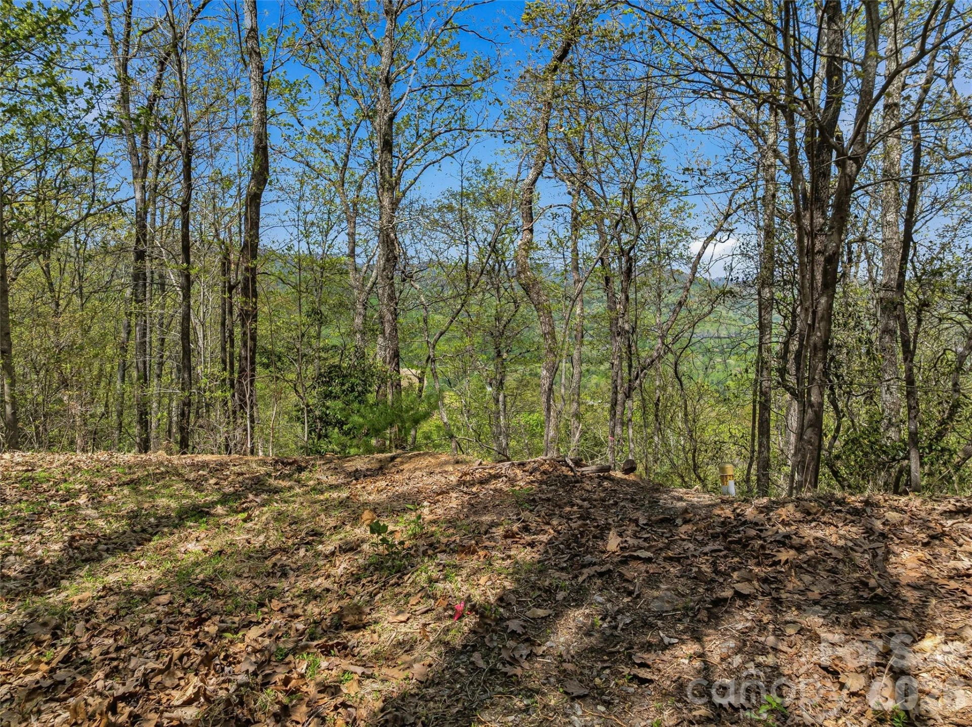27 Deer Grass Court - Photo 23