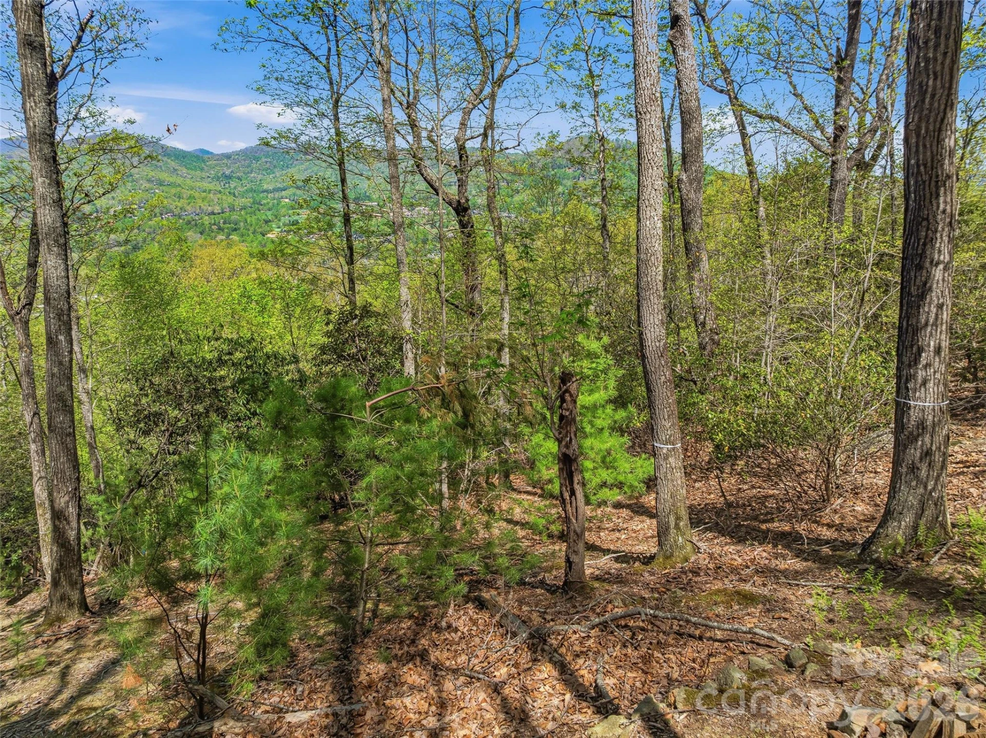 27 Deer Grass Court - Photo 24