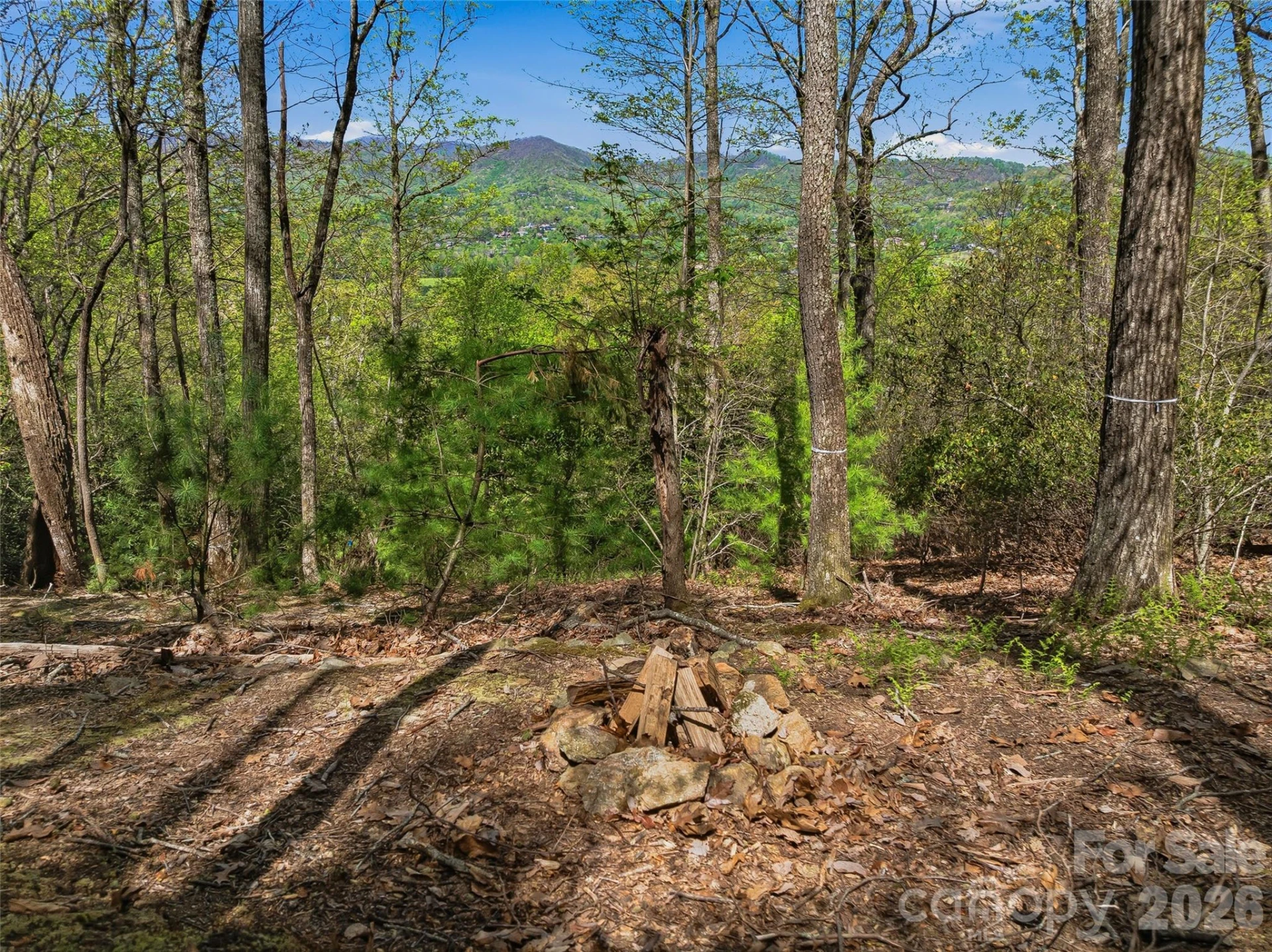 27 Deer Grass Court - Photo 4