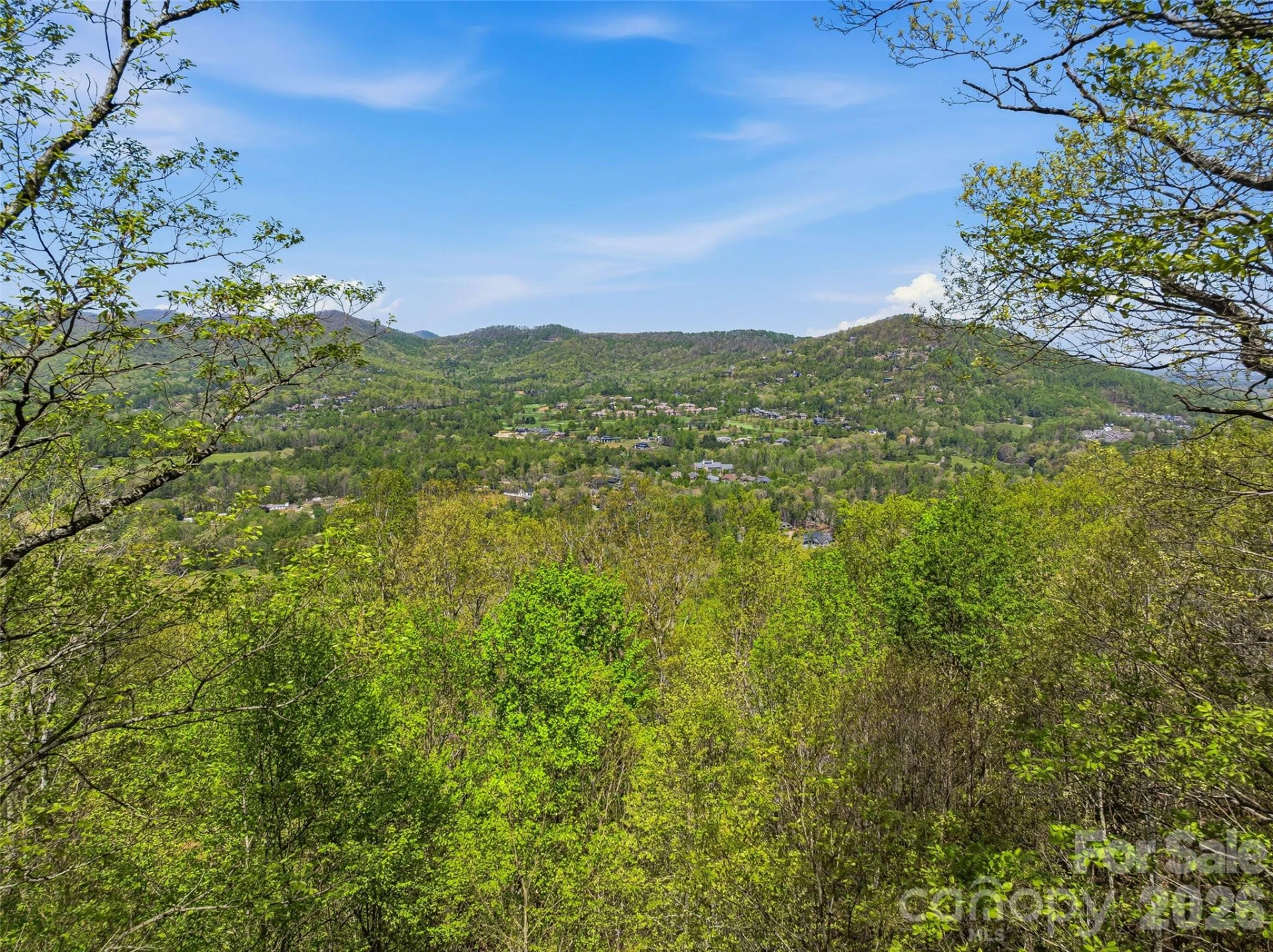 27 Deer Grass Court - Photo 5