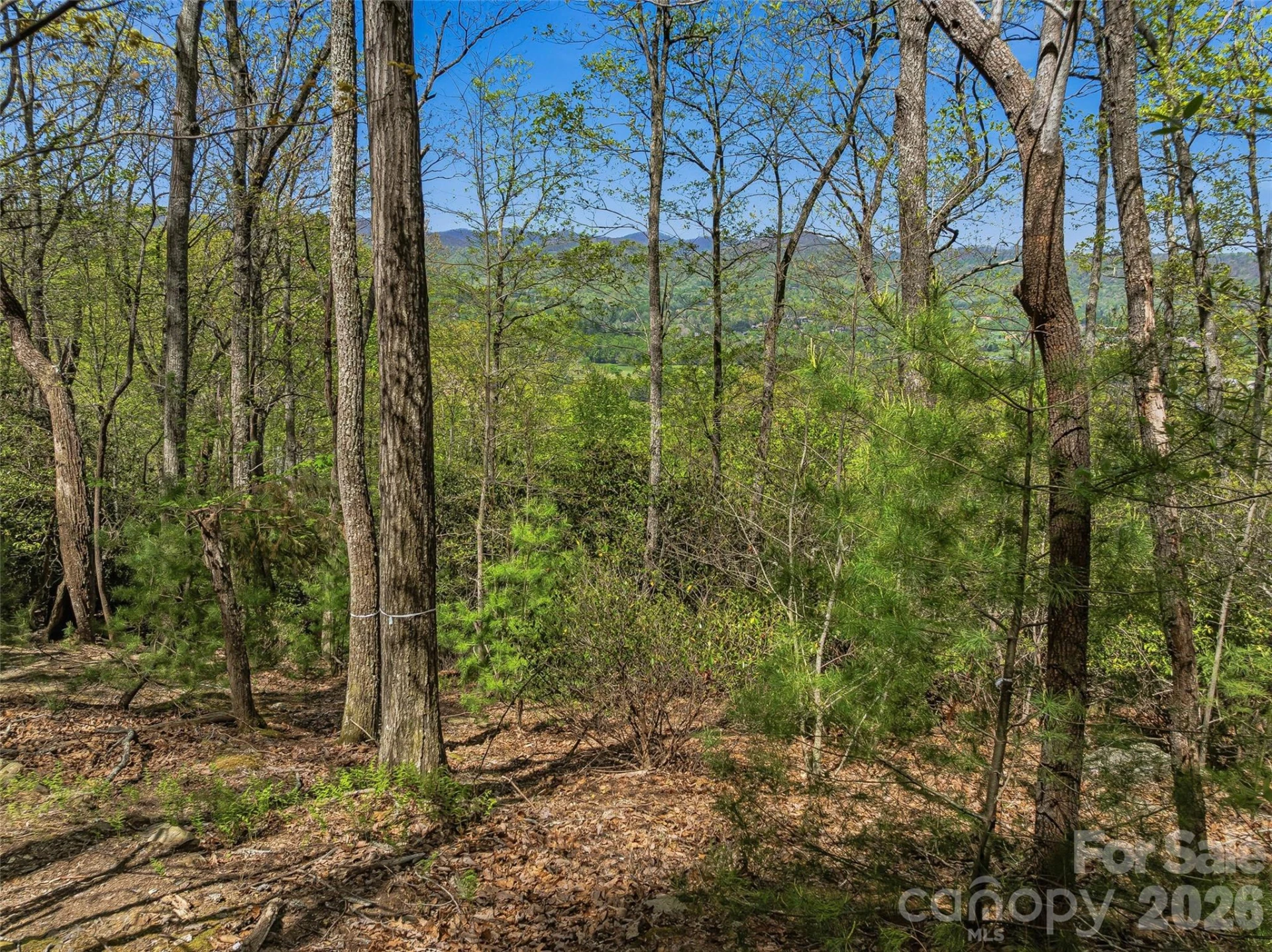 27 Deer Grass Court - Photo 7