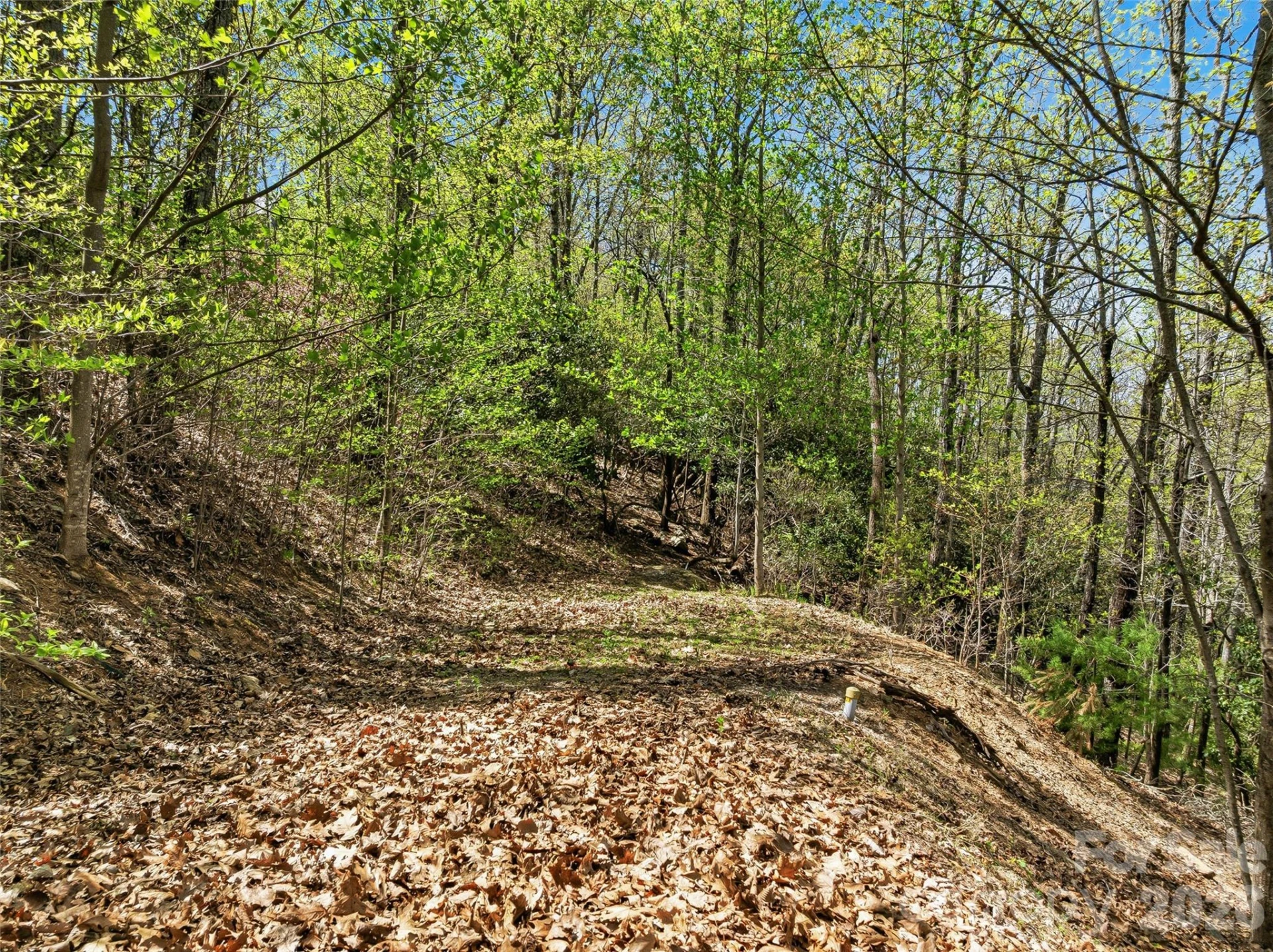 27 Deer Grass Court - Photo 8
