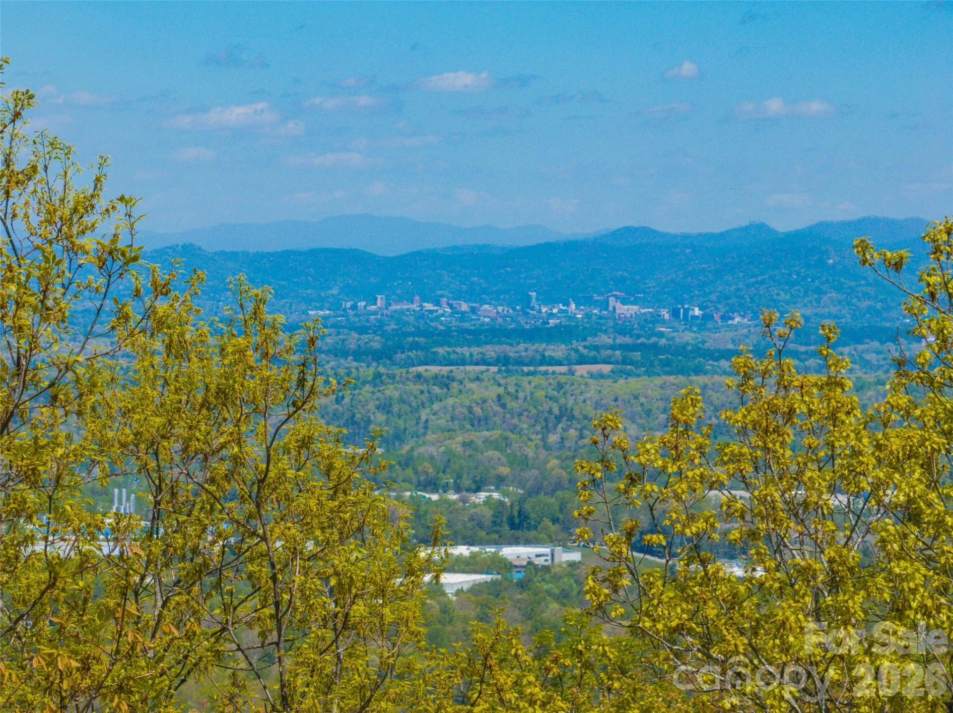 27 Deer Grass Court - Photo 10