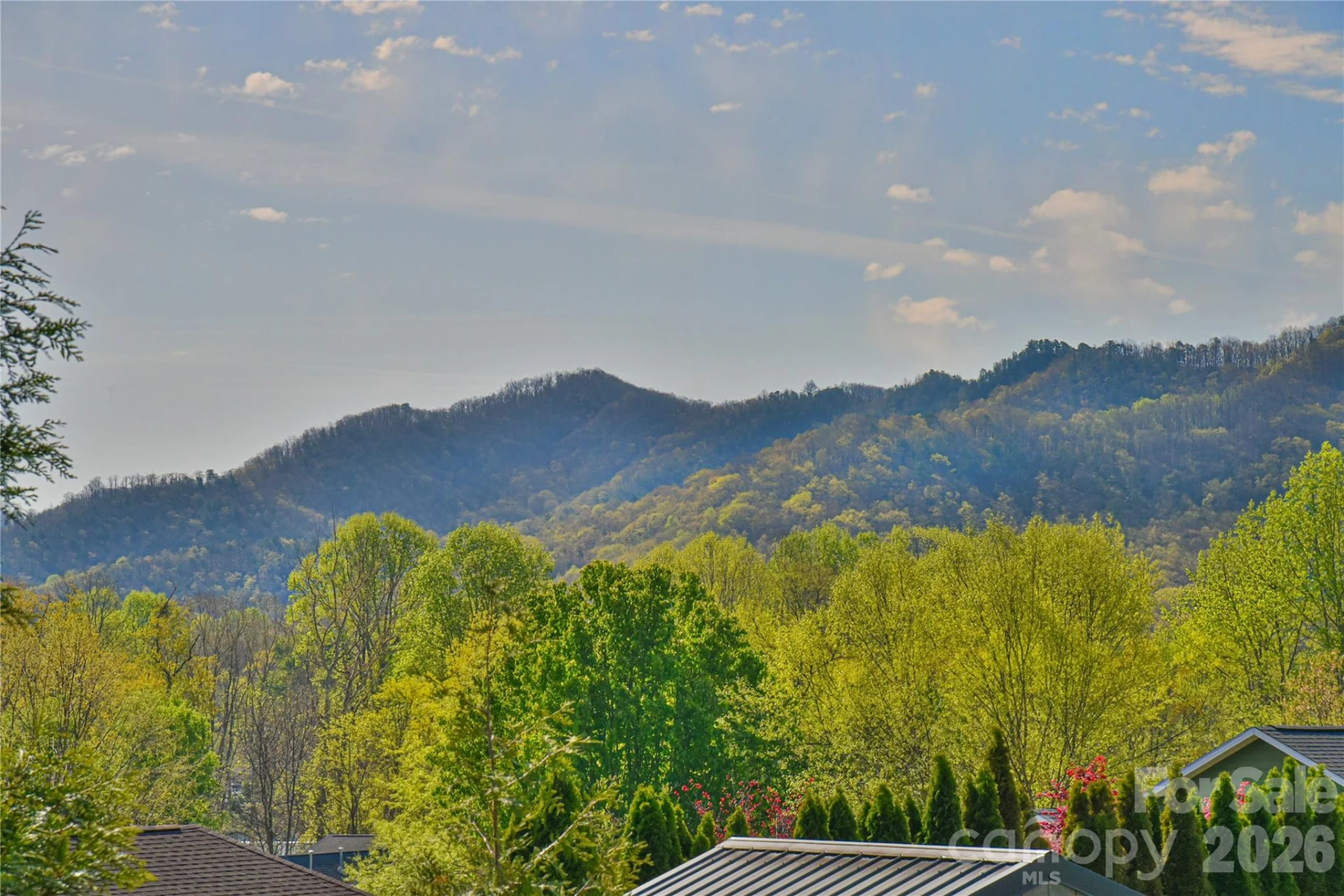 310 Portmanvilla Road - Photo 4