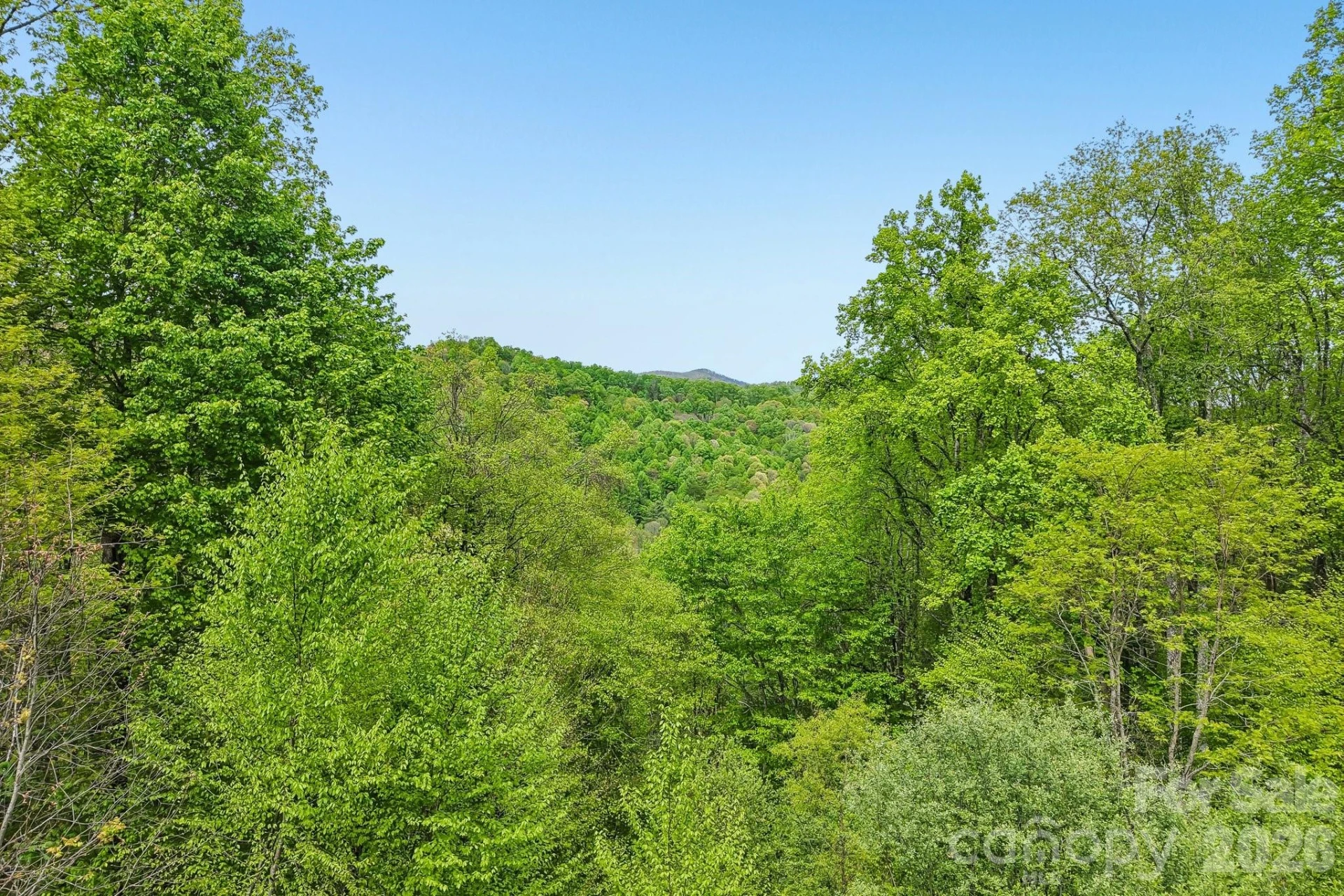 519 Susanna Cove Road #8 - Photo 6