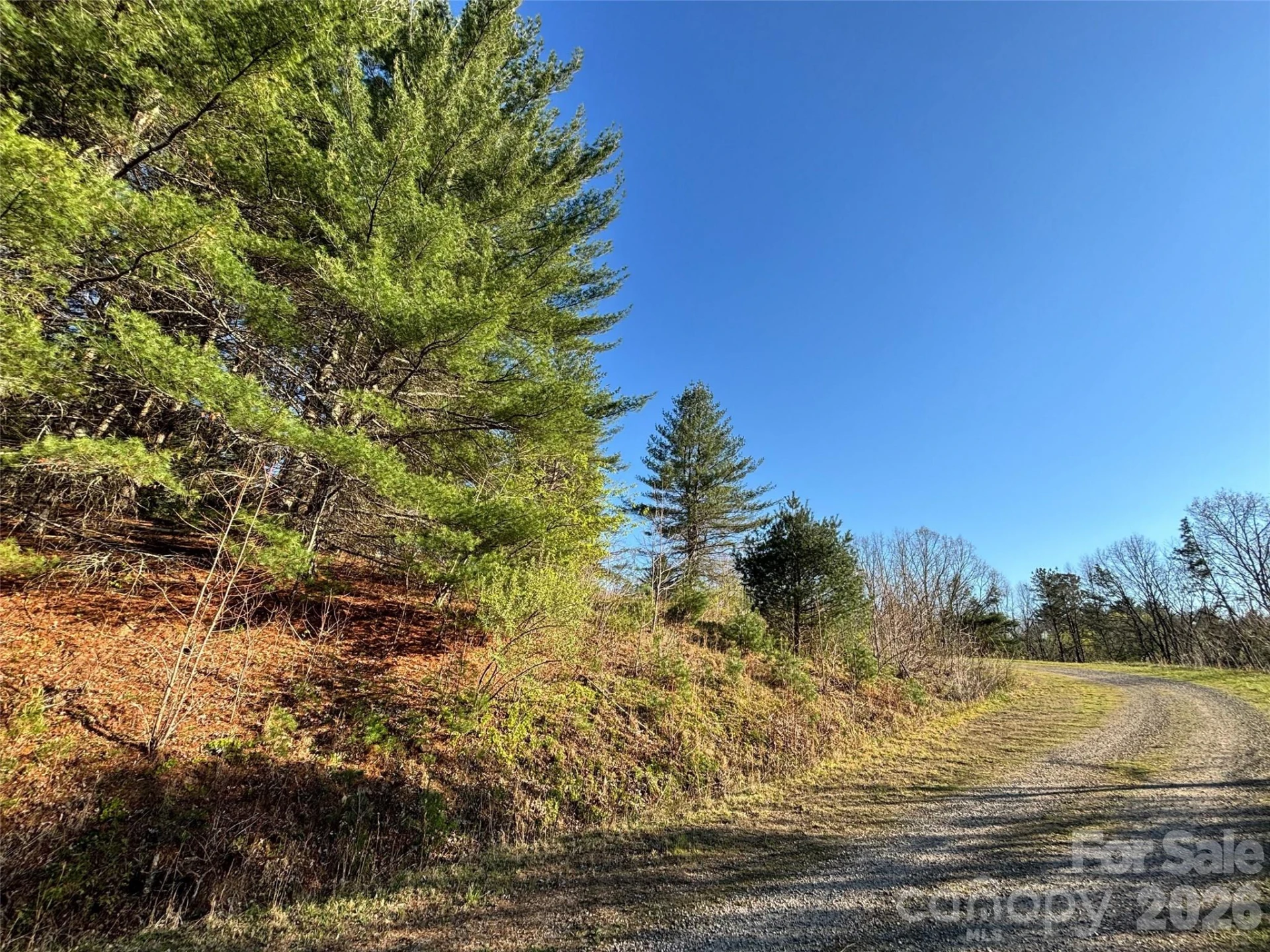 24 Dream Valley Drive #24 - Photo 13