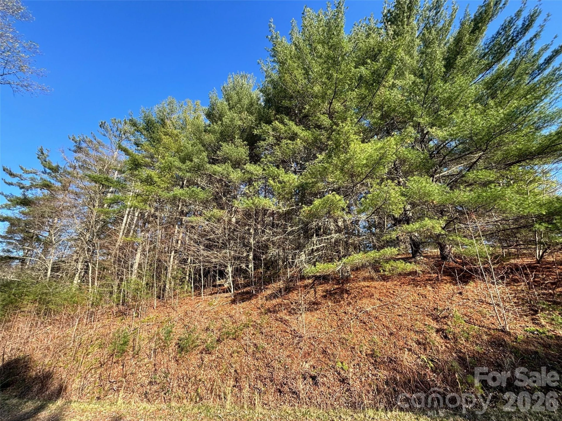 24 Dream Valley Drive #24 - Photo 14