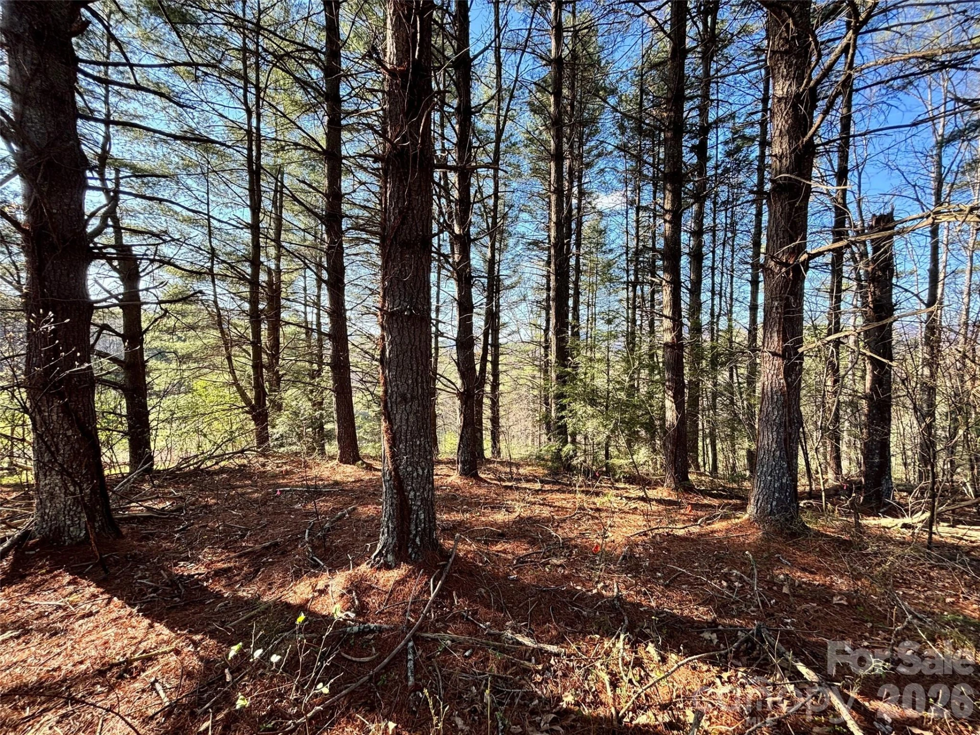 24 Dream Valley Drive #24 - Photo 9