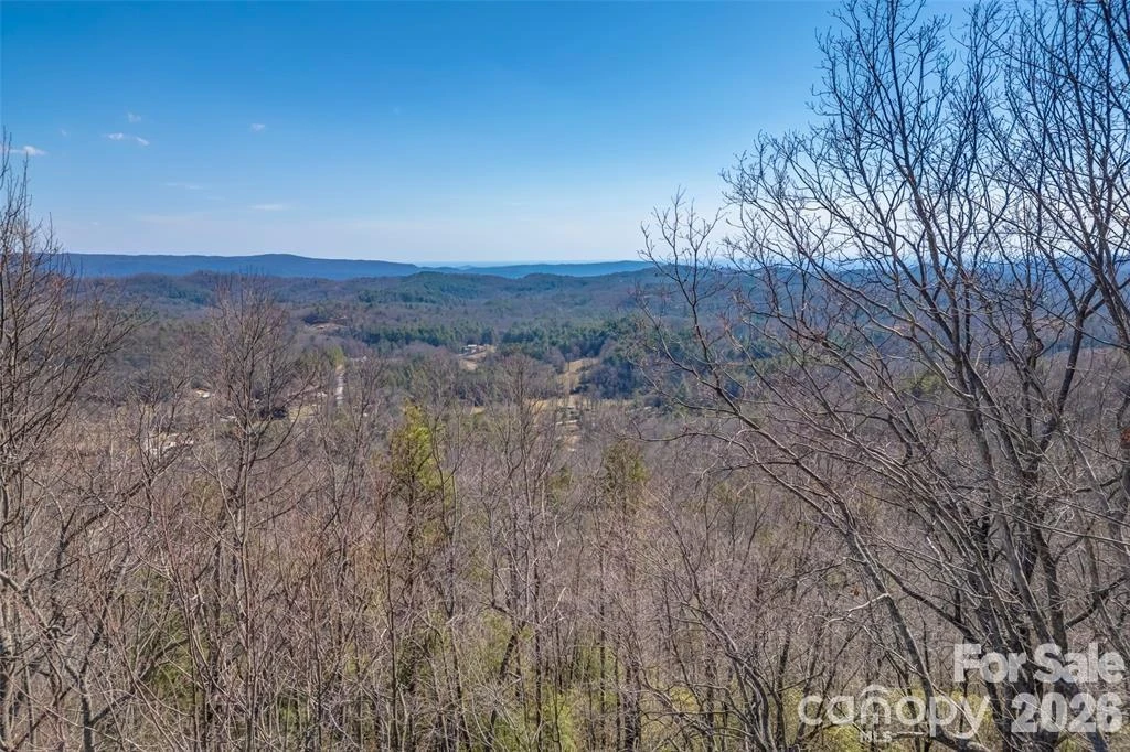 TBD Loganberry Lane - Photo 3