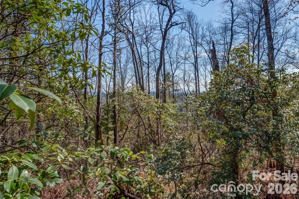 TBD Loganberry Lane - Photo 4