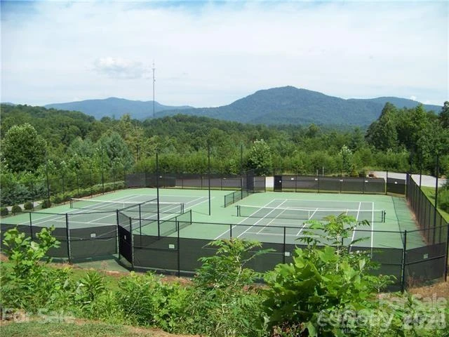 0 Bills Mountain Trail #401 - Photo 3