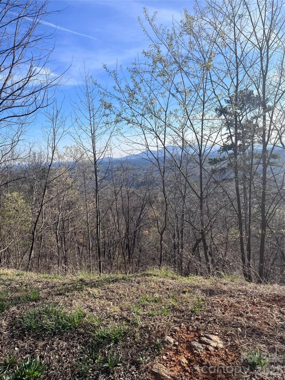0 Bills Mountain Trail #401 - Photo 7