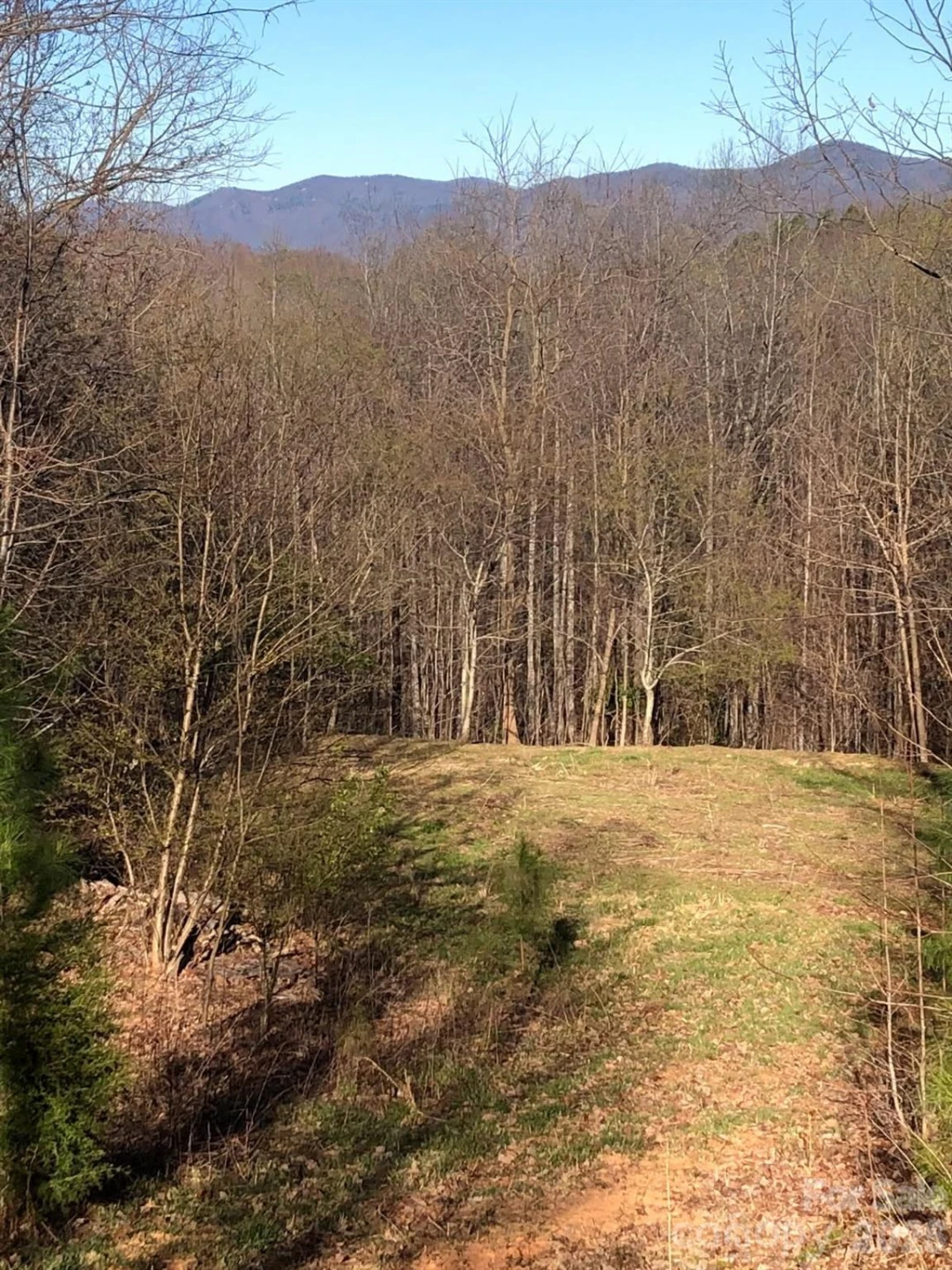 453 Grandview Peaks Drive - Photo 13