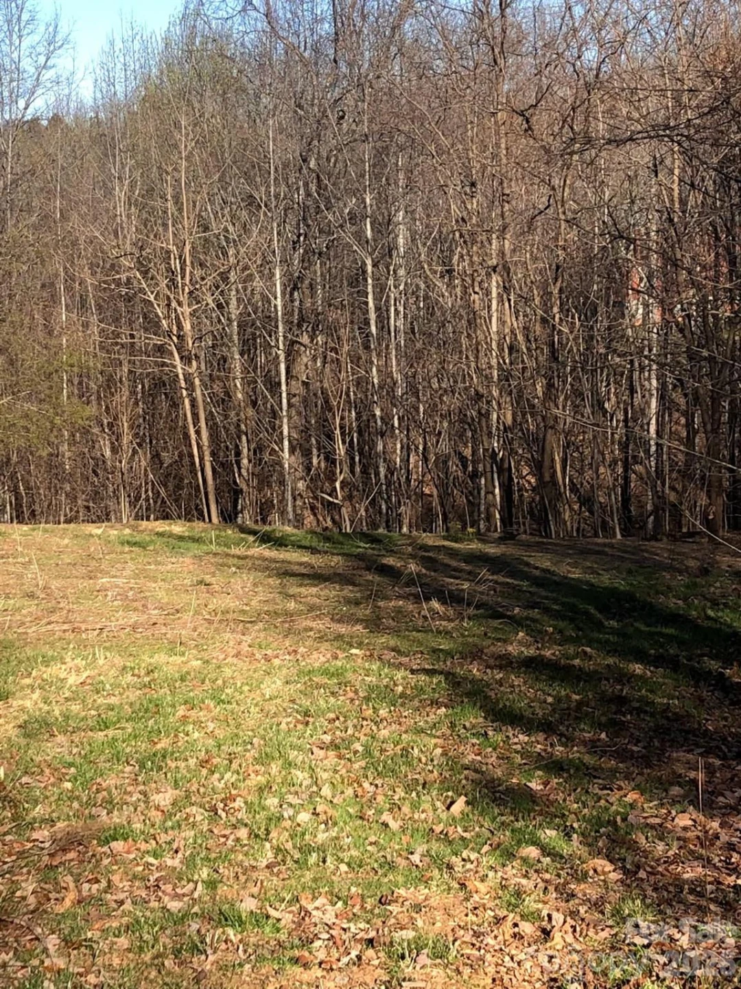 453 Grandview Peaks Drive - Photo 14