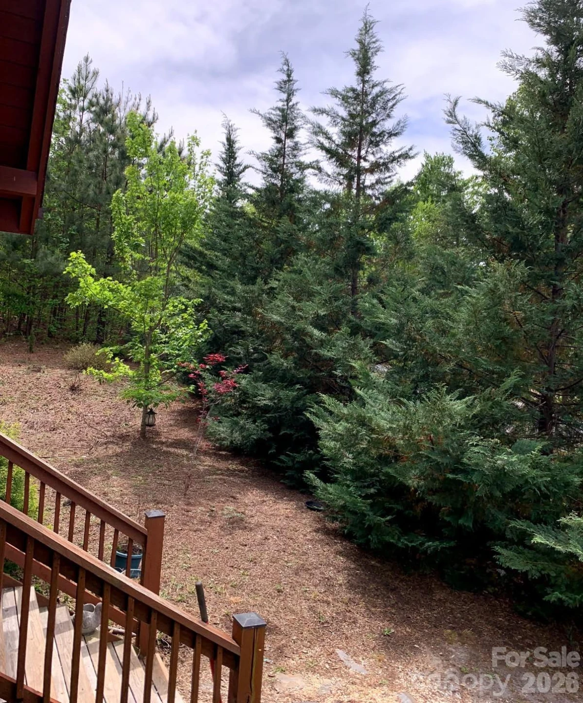 453 Grandview Peaks Drive - Photo 17