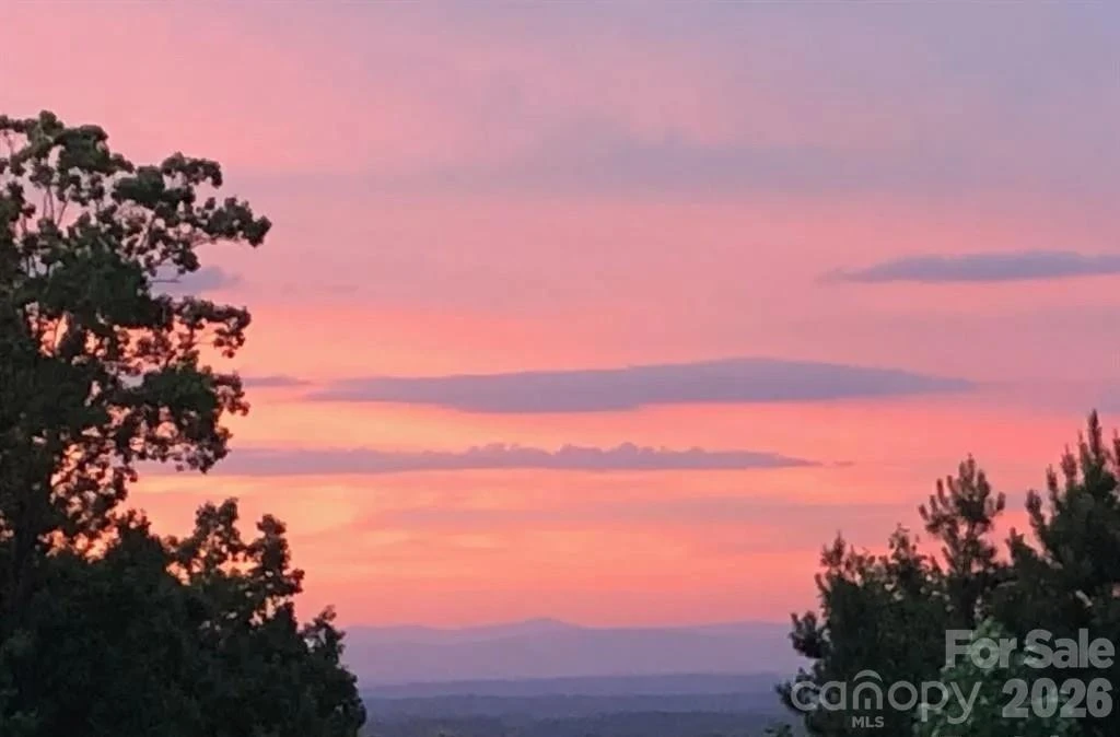 453 Grandview Peaks Drive - Photo 8