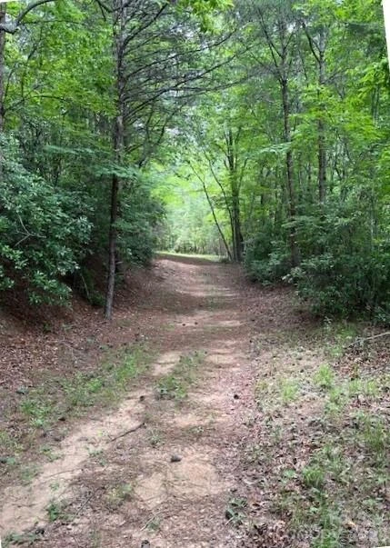 Lot 46 Lake Adger Parkway - Photo 4