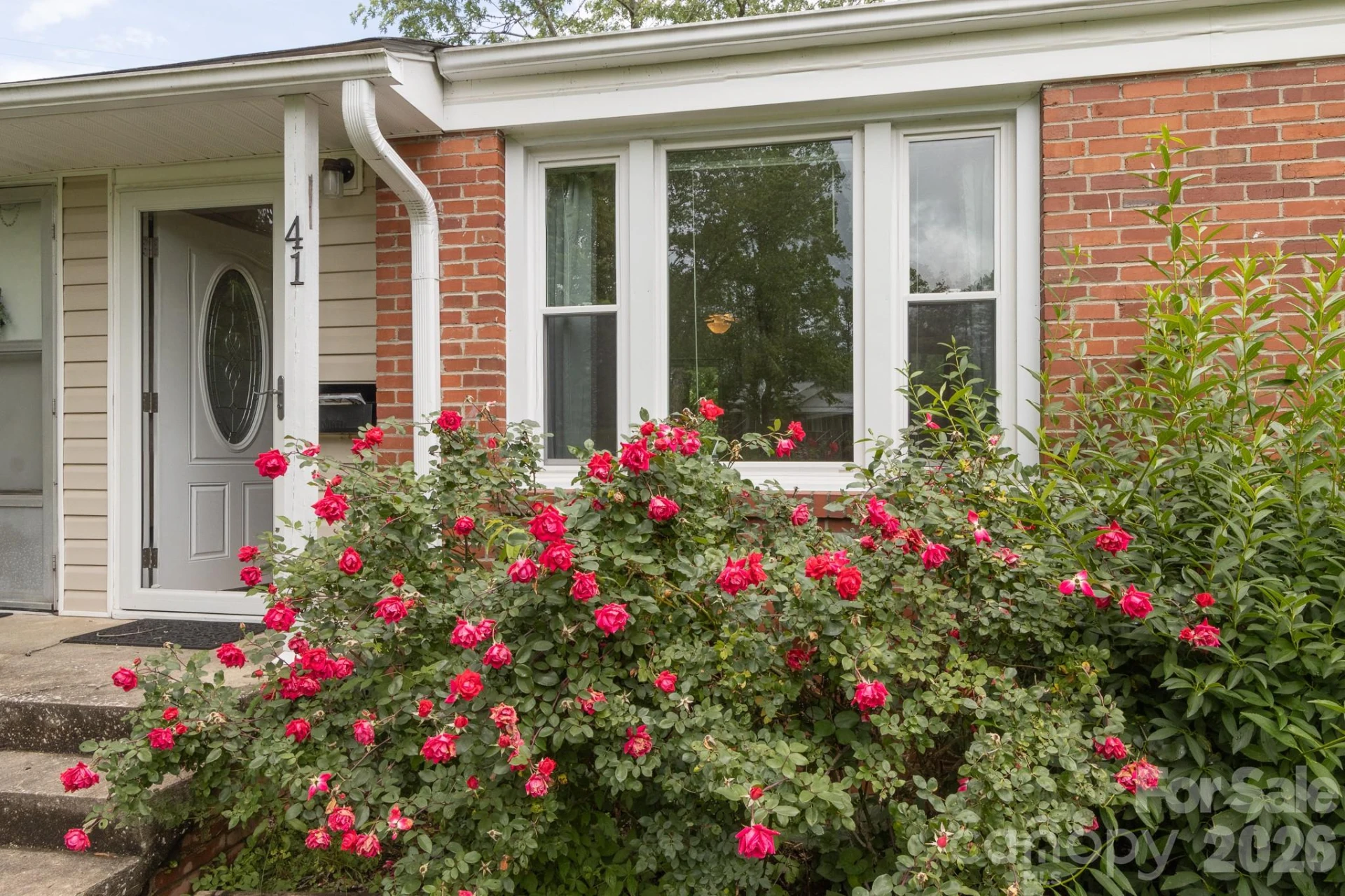 41 Trowbridge Lane - Photo 2