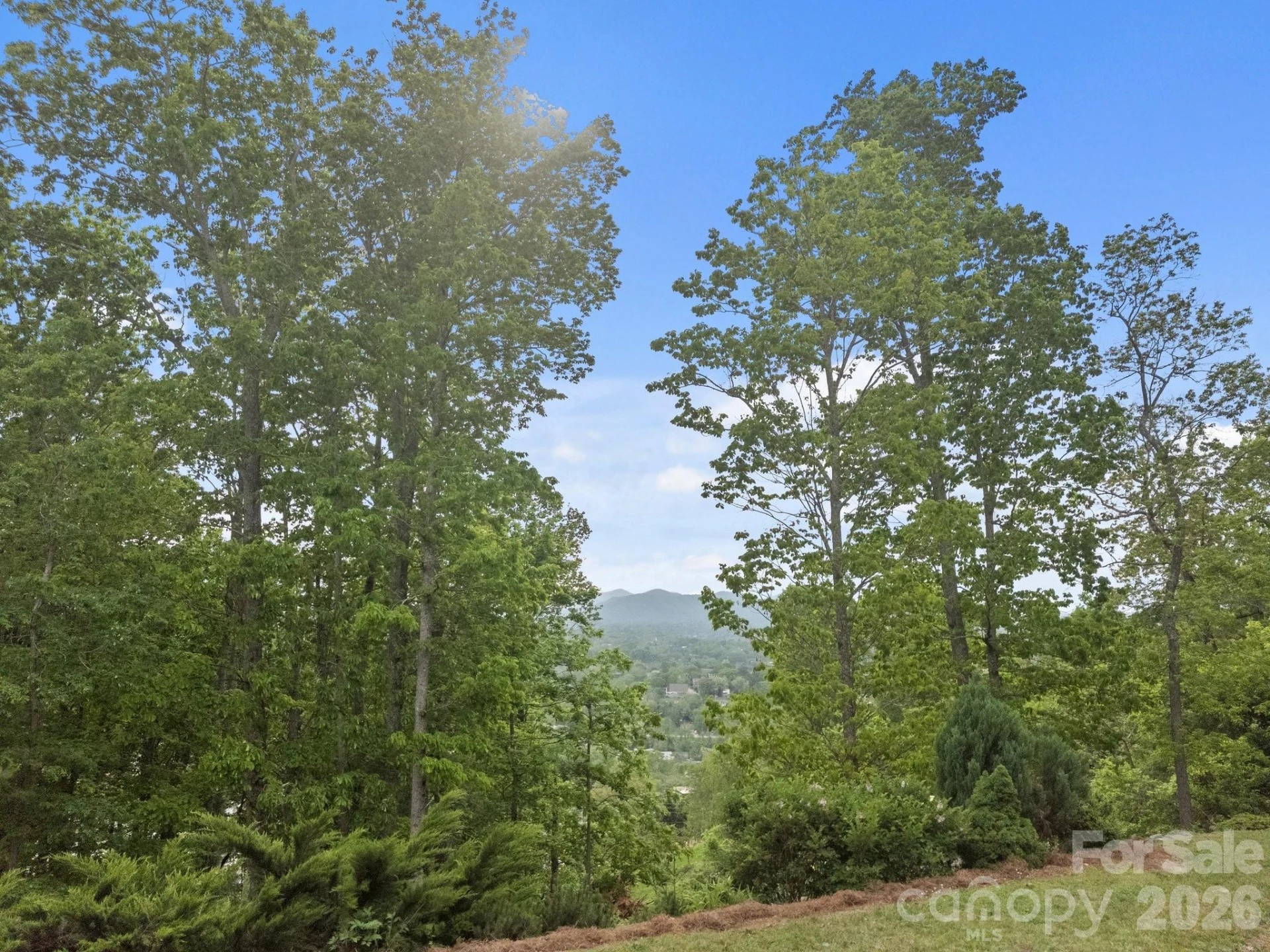 106 McCauley Drive - Photo 4