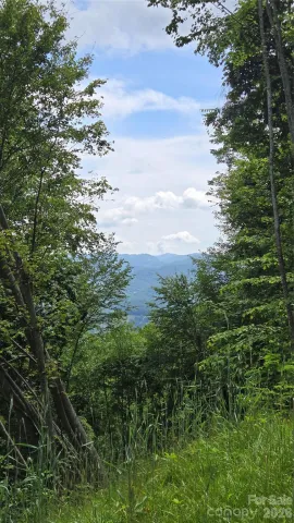 3355 Utah Mountain Road