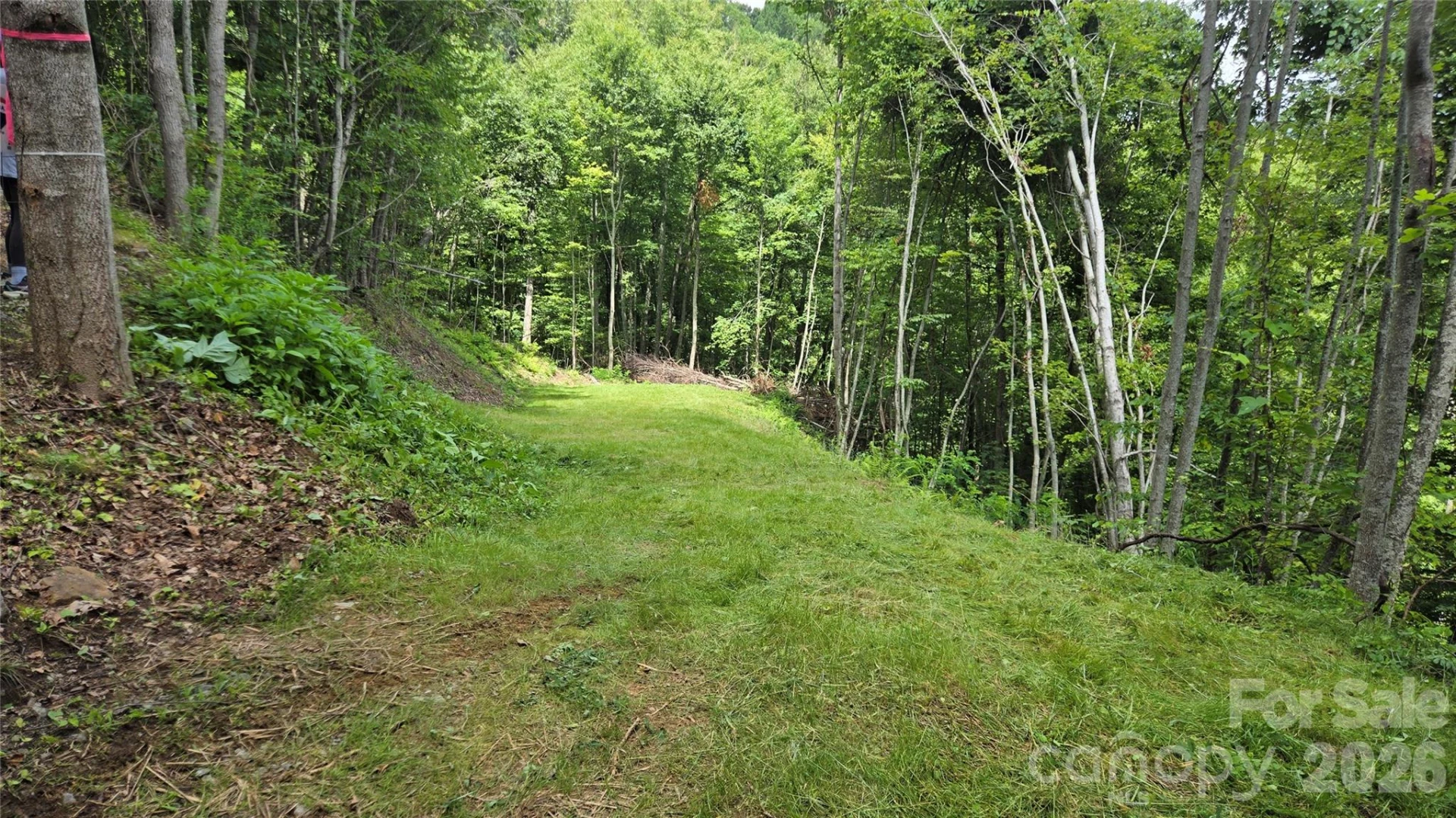 3355 Utah Mountain Road #3-F - Photo 6