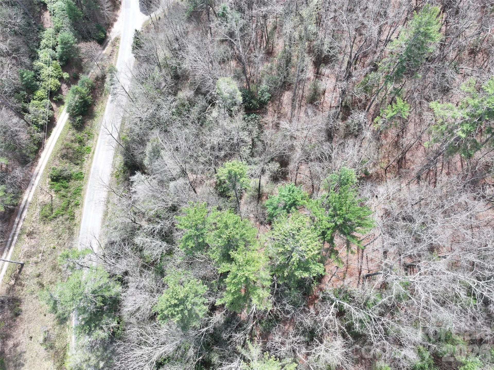 00 White Oak Road - Photo 4