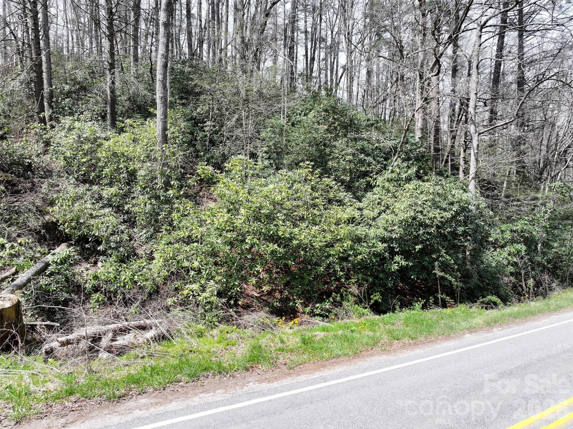 00 White Oak Road - Photo 5