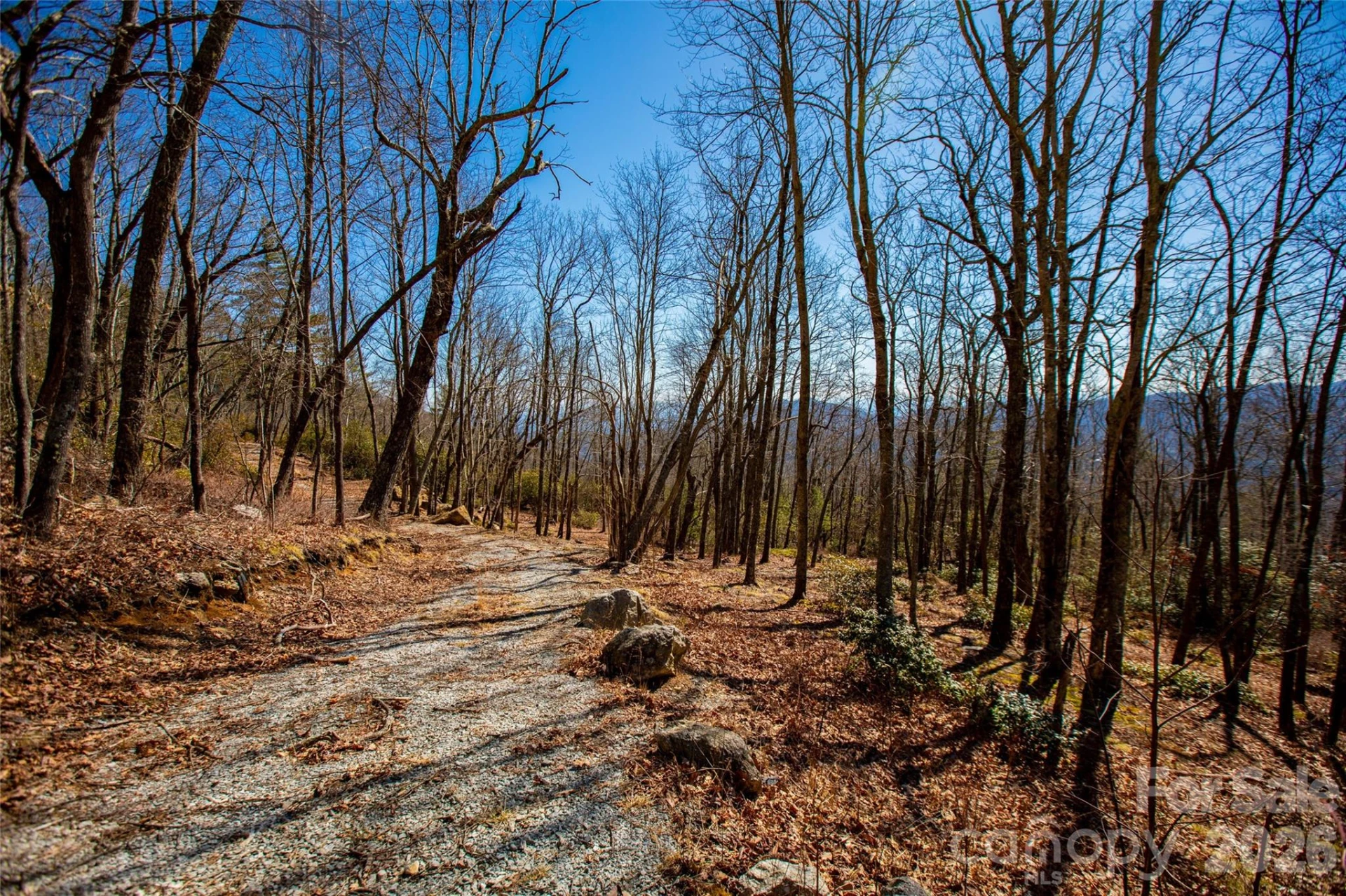 Lot 19 W Whitetail Drive - Photo 11