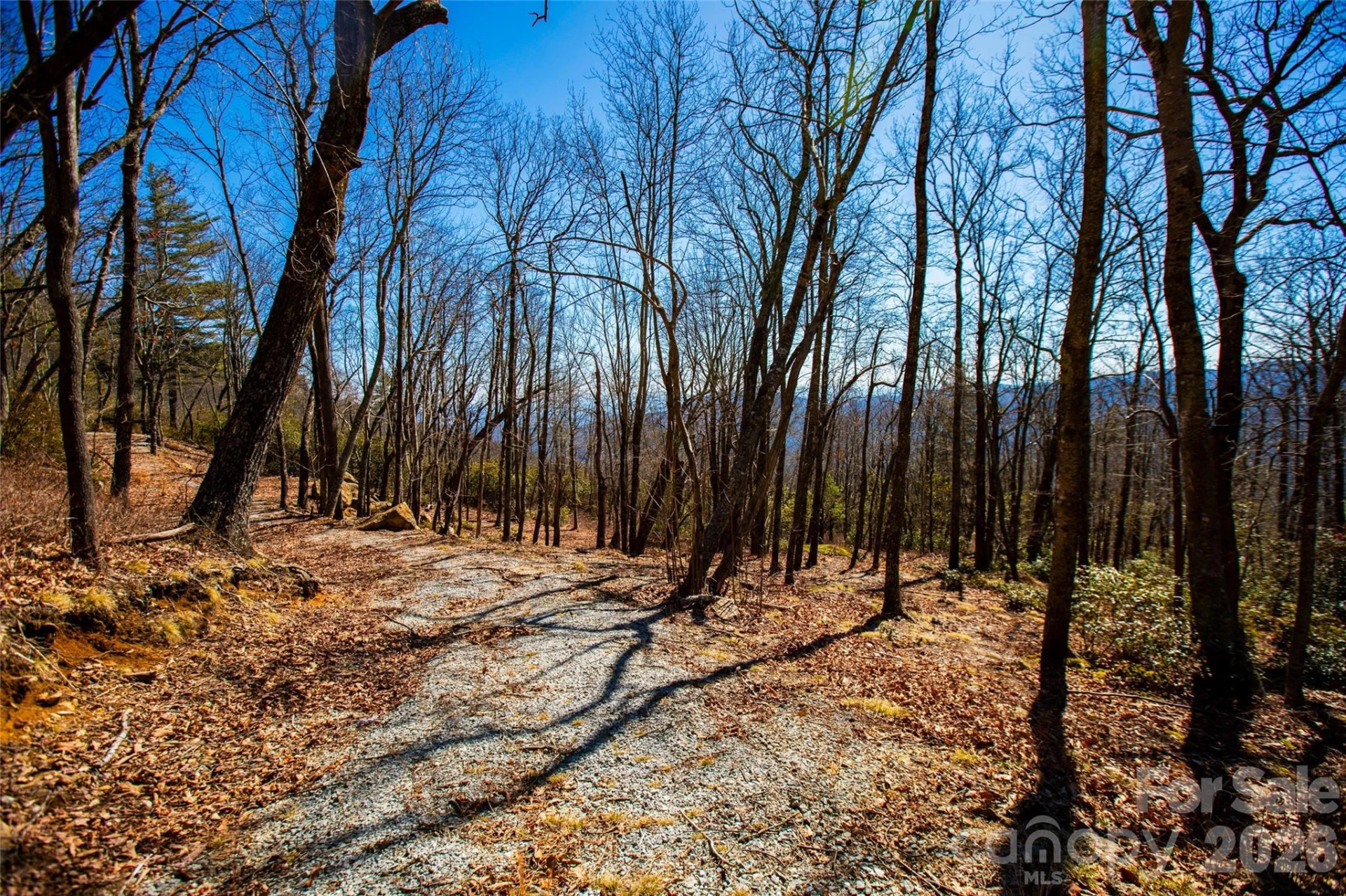 Lot 19 W Whitetail Drive - Photo 12