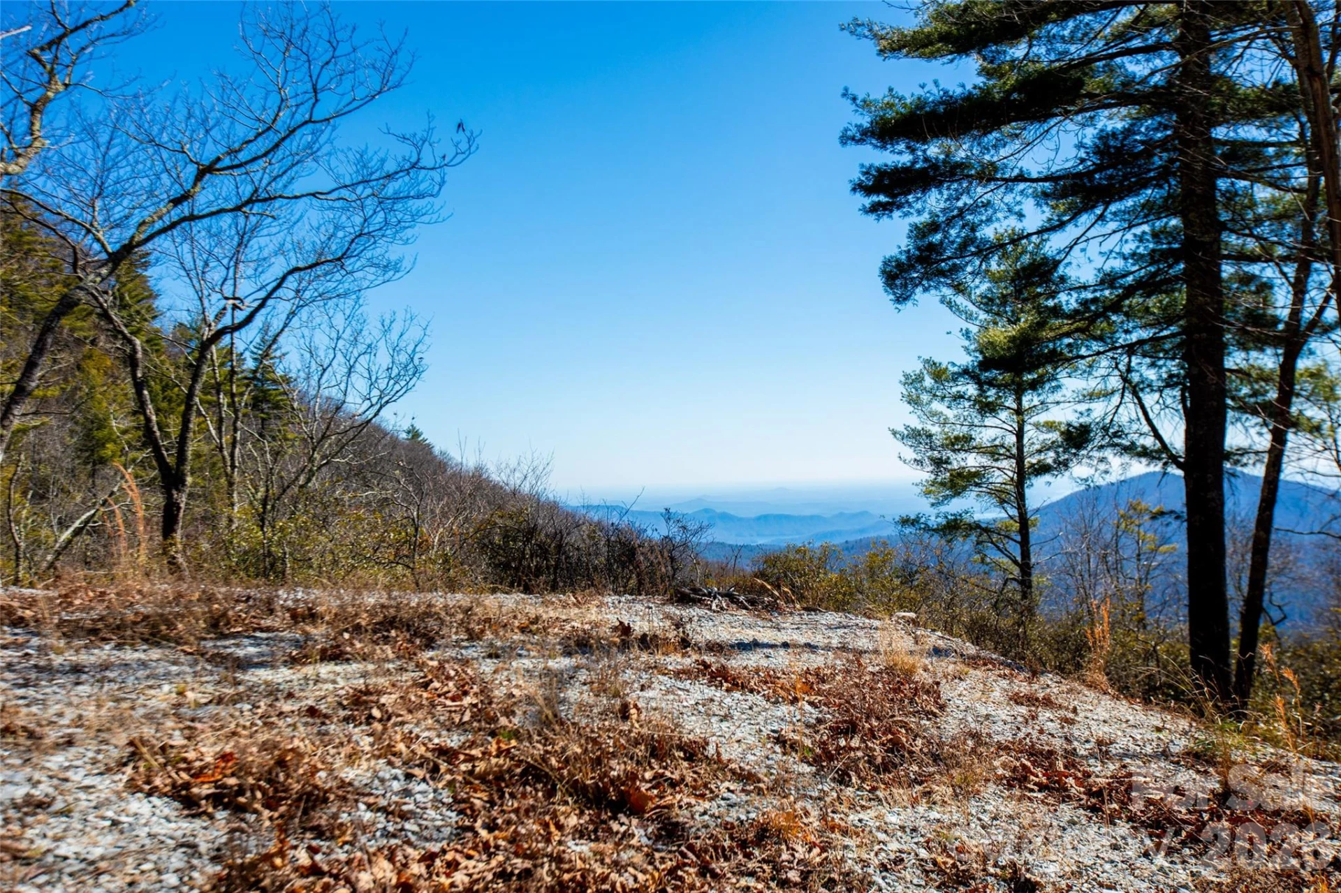 Lot 19 W Whitetail Drive - Photo 13