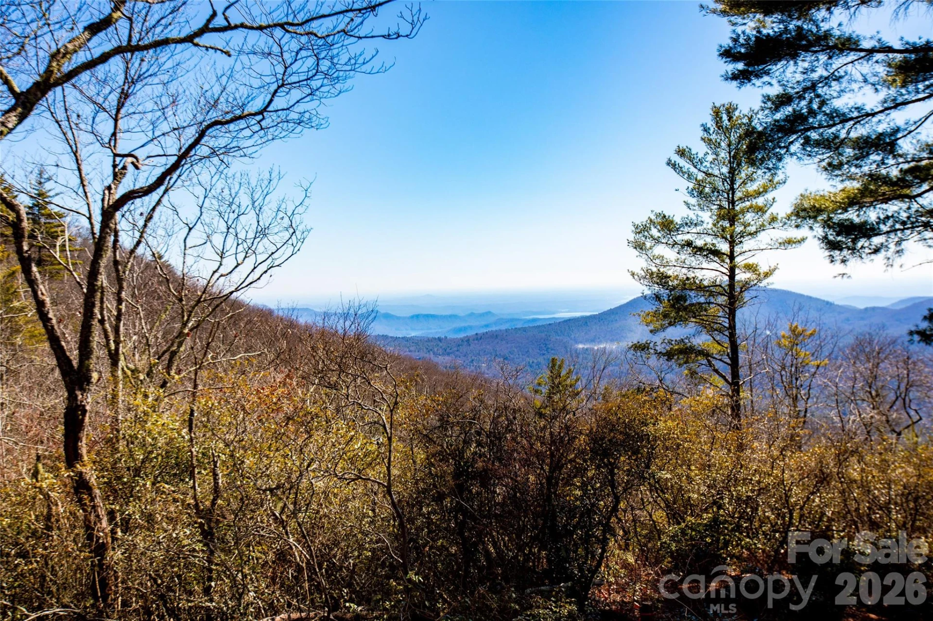 Lot 19 W Whitetail Drive - Photo 14