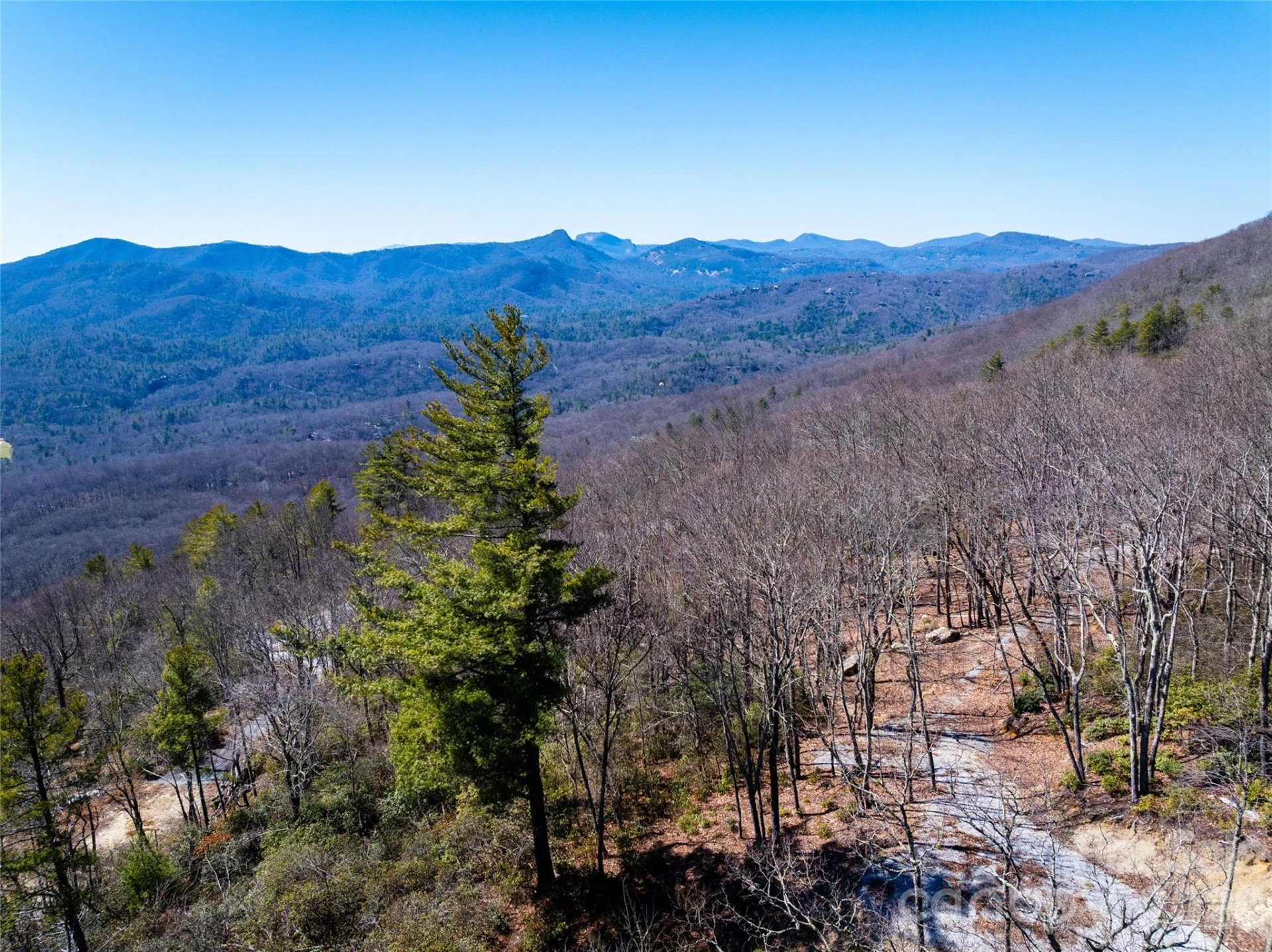 Lot 19 W Whitetail Drive - Photo 16