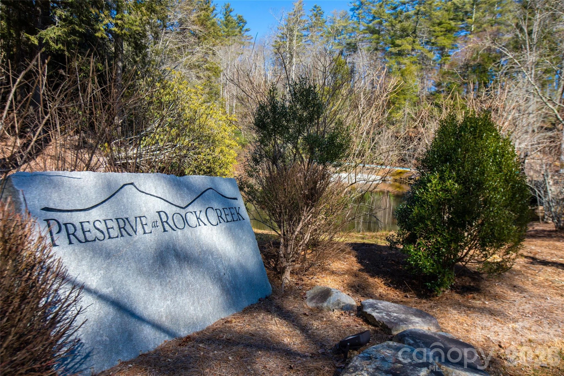 Lot 19 W Whitetail Drive - Photo 25