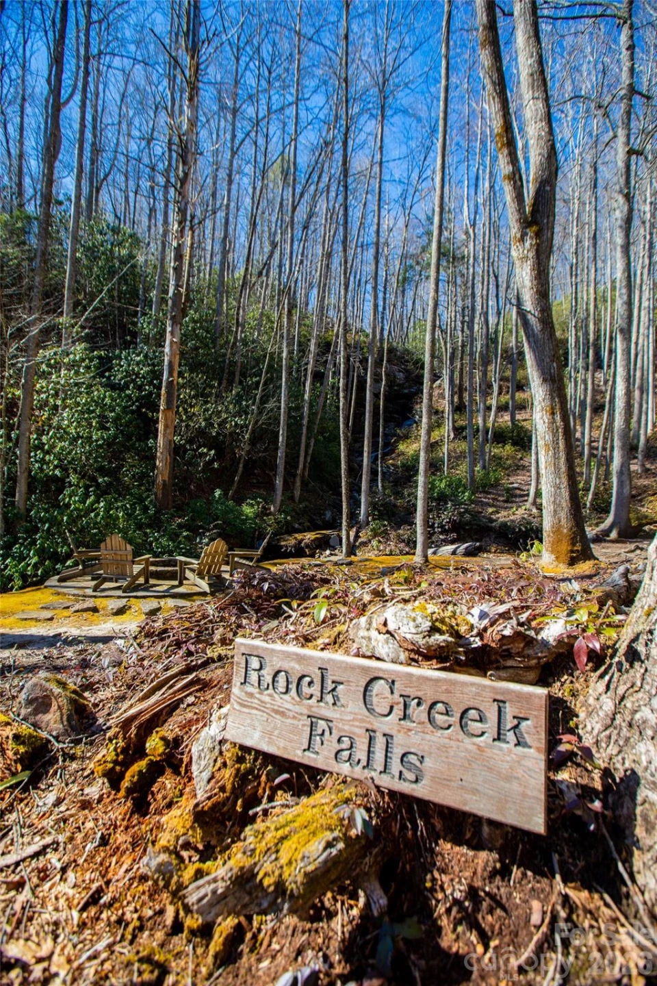 Lot 19 W Whitetail Drive - Photo 26