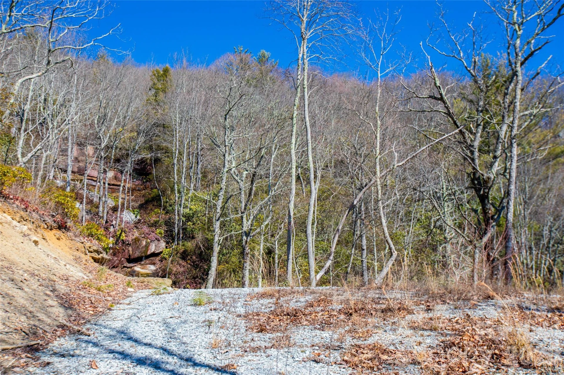 Lot 19 W Whitetail Drive - Photo 6