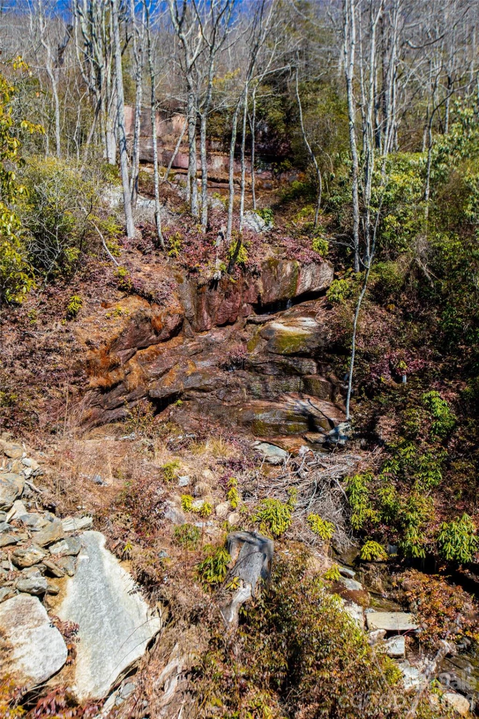 Lot 19 W Whitetail Drive - Photo 7