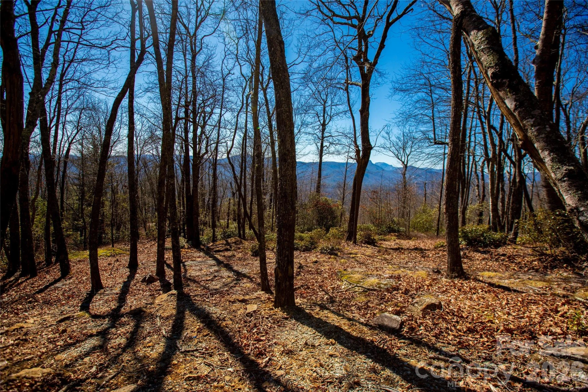 Lot 19 W Whitetail Drive - Photo 8
