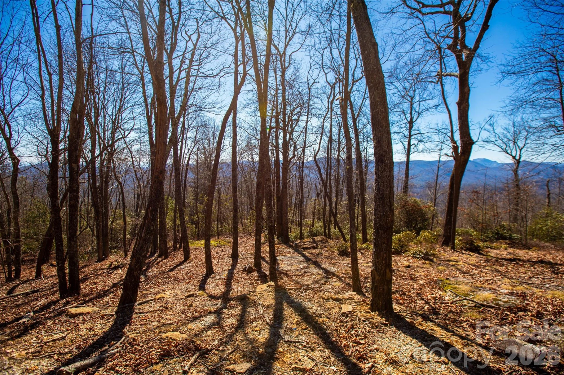 Lot 19 W Whitetail Drive - Photo 9
