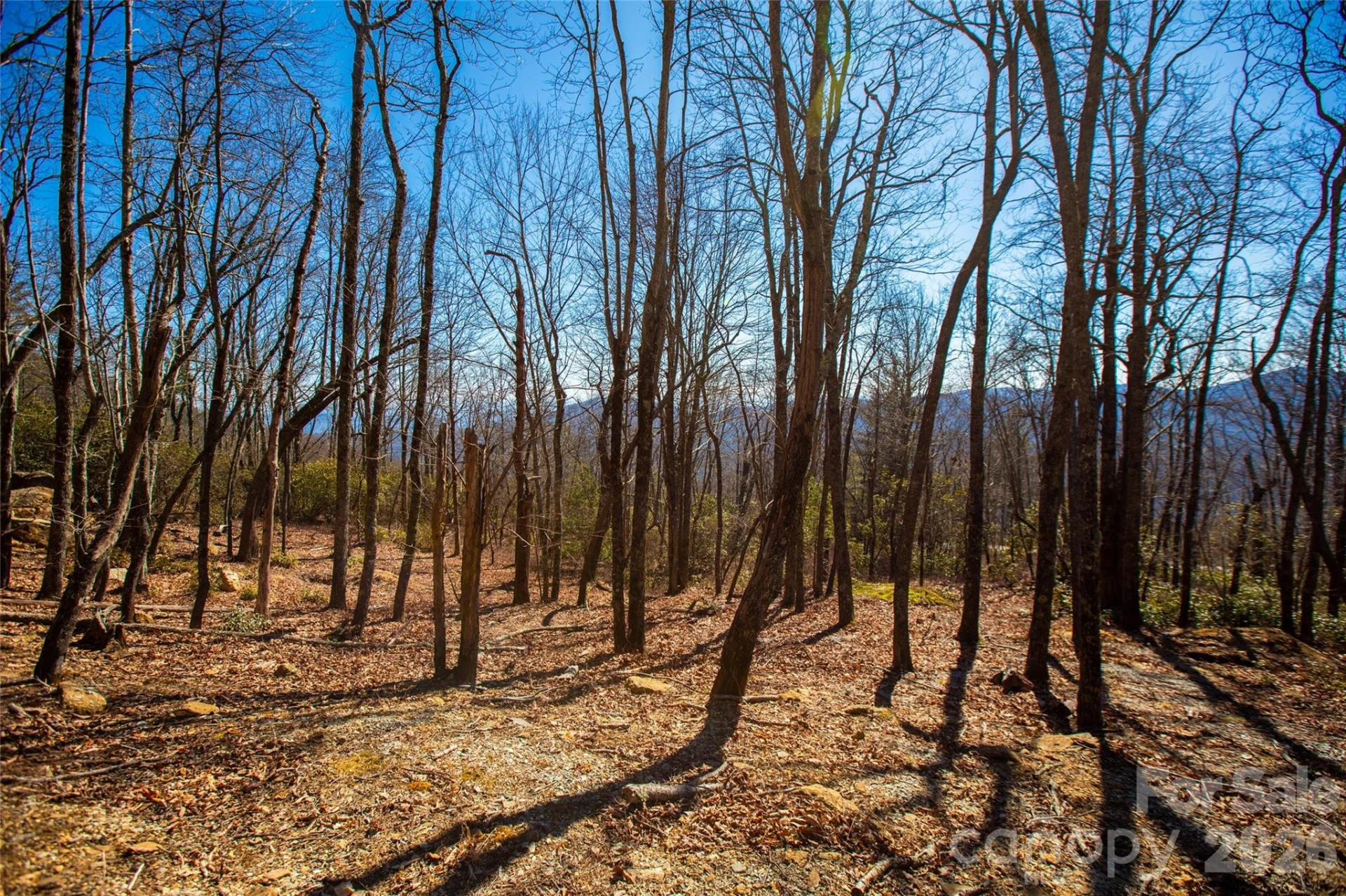 Lot 19 W Whitetail Drive - Photo 10