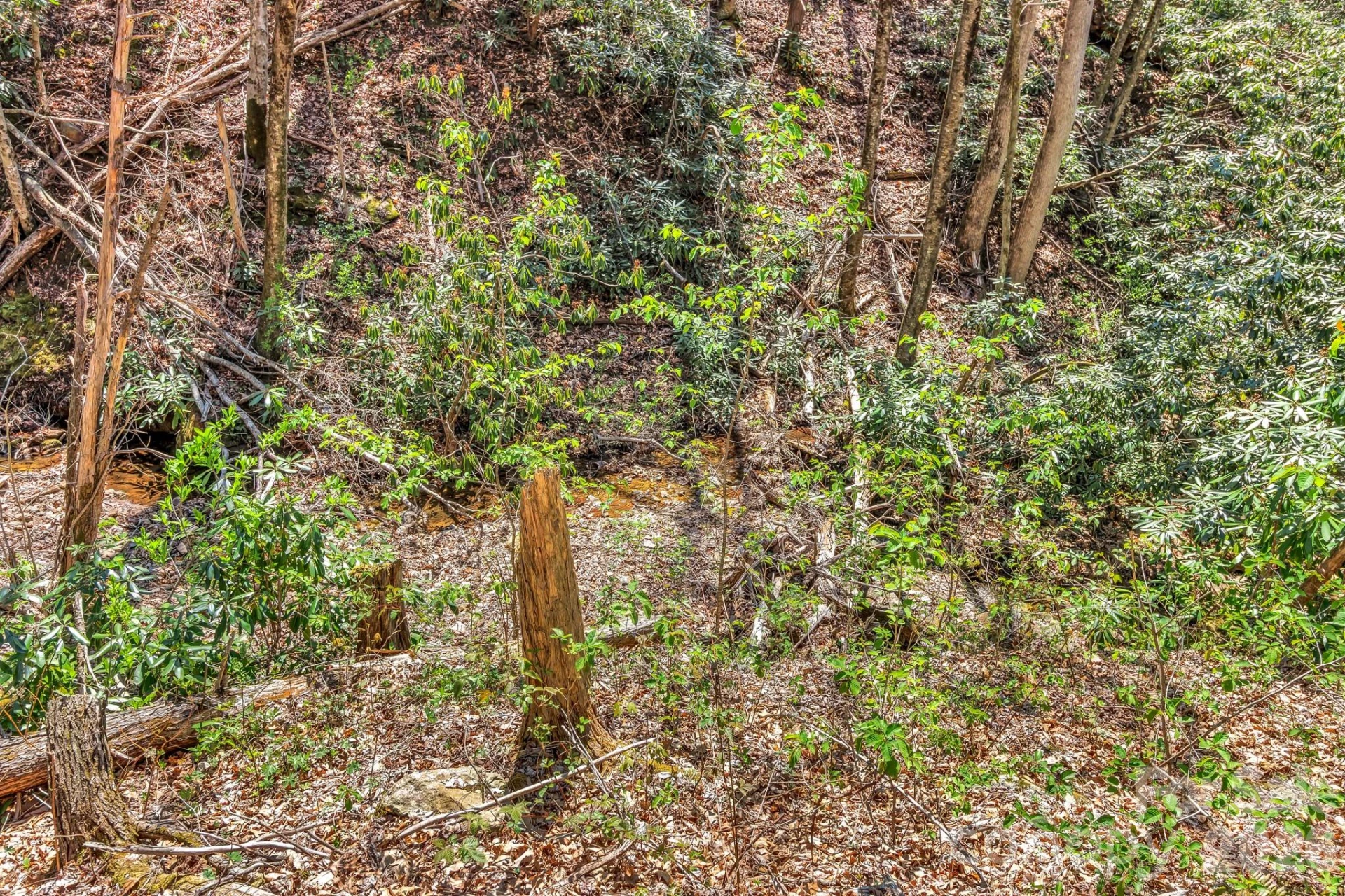 1100 Panther Branch Road - Photo 13