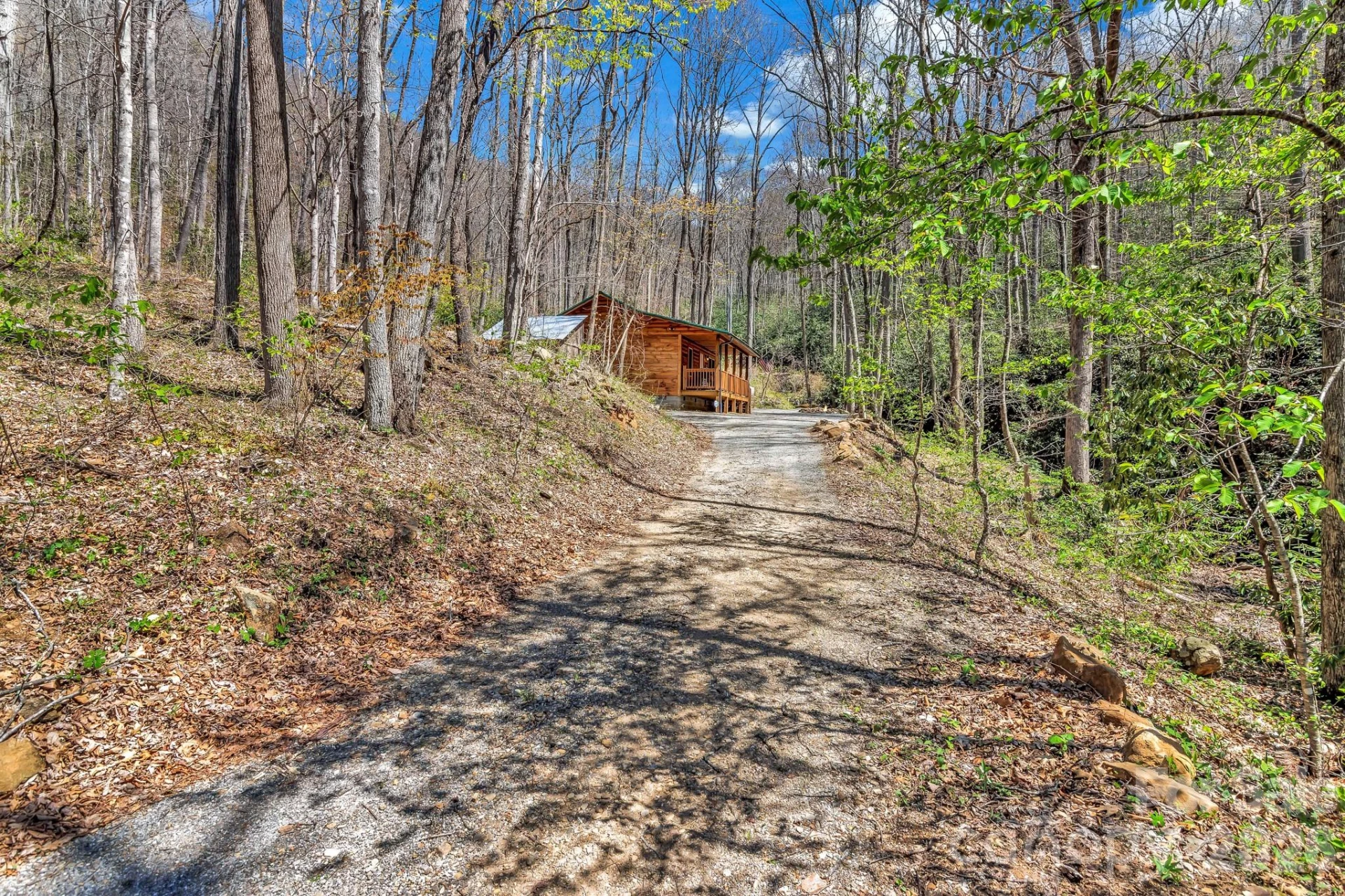 1100 Panther Branch Road - Photo 6
