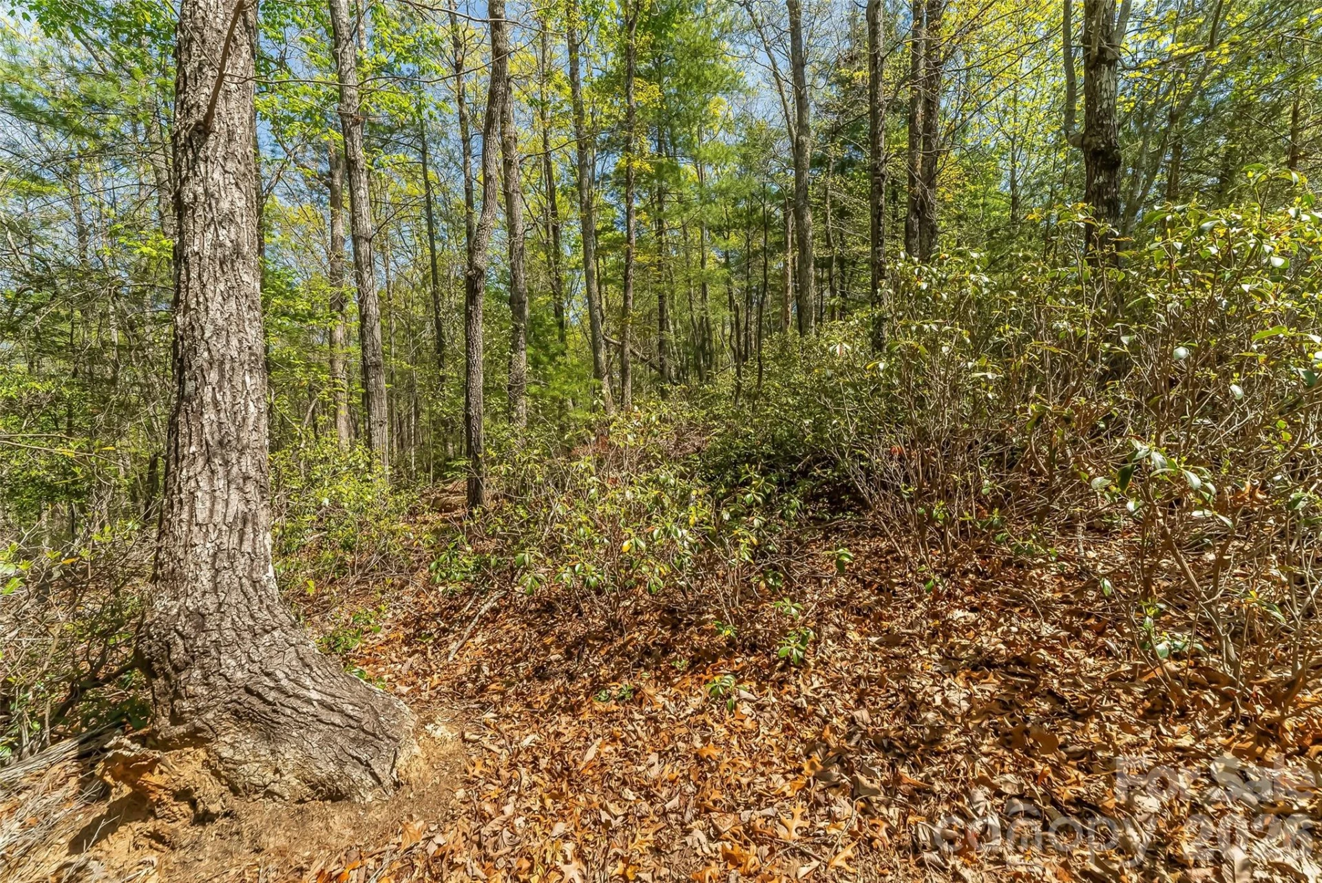 1006 High Trail Drive #32-11 - Photo 13