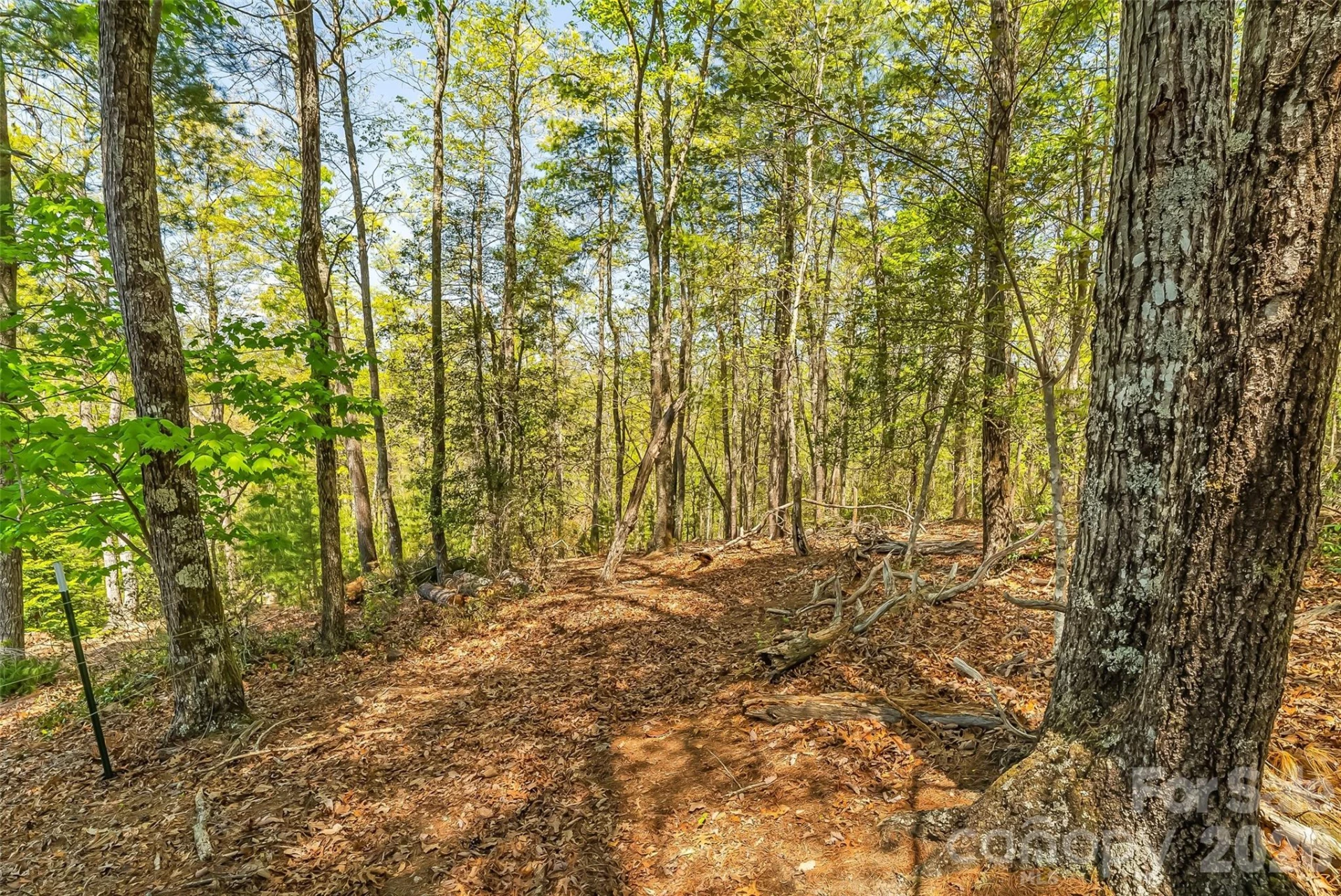 1006 High Trail Drive #32-11 - Photo 9