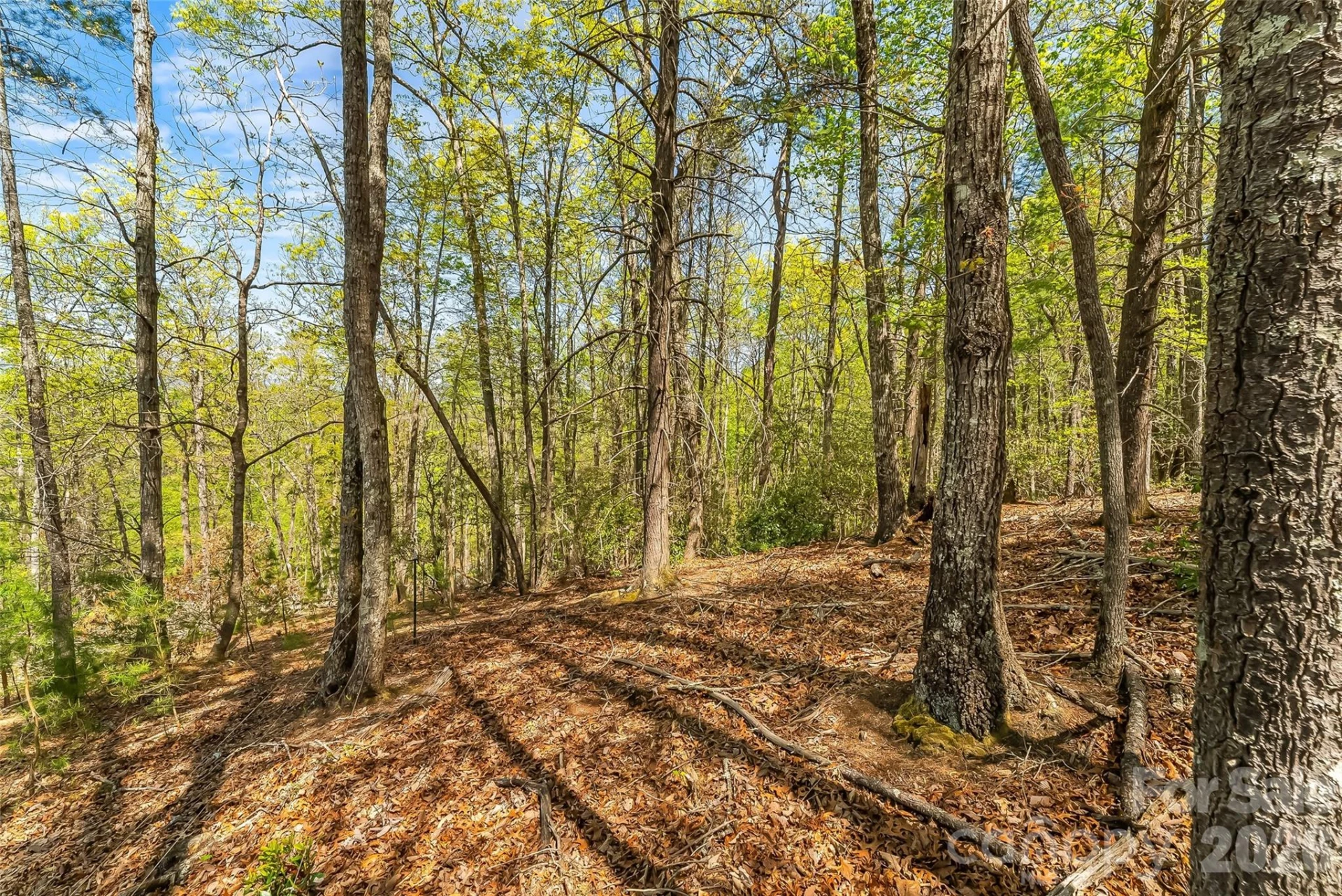 1006 High Trail Drive #32-11 - Photo 10