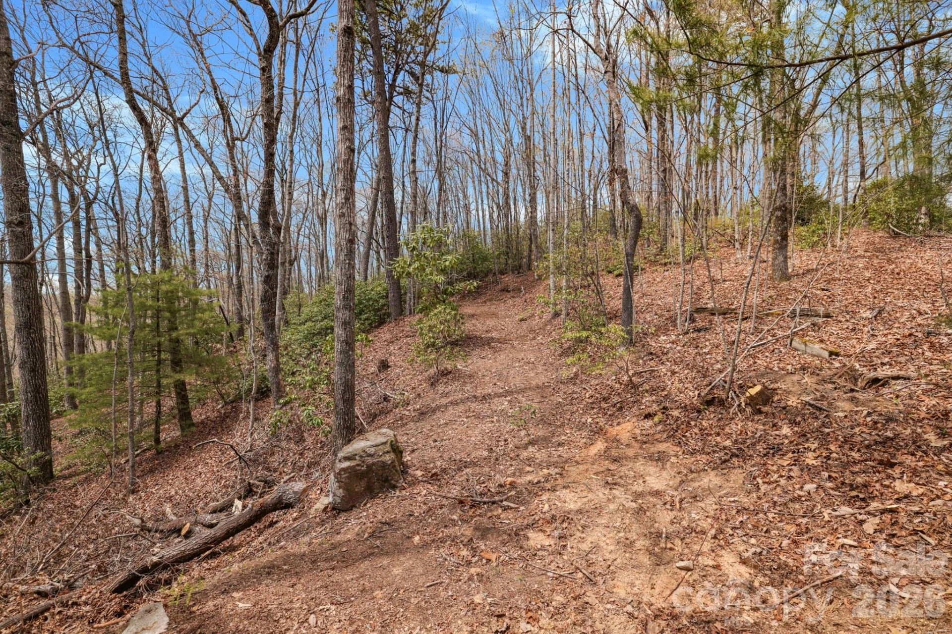 305 Stamey Creek Road - Photo 18